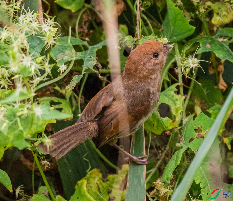 DSC_8302.jpg
