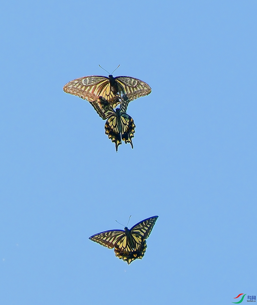 DSCF8882.JPG