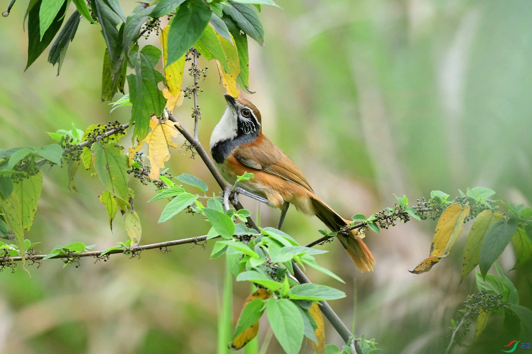 DSC_2679_�㶫.jpg