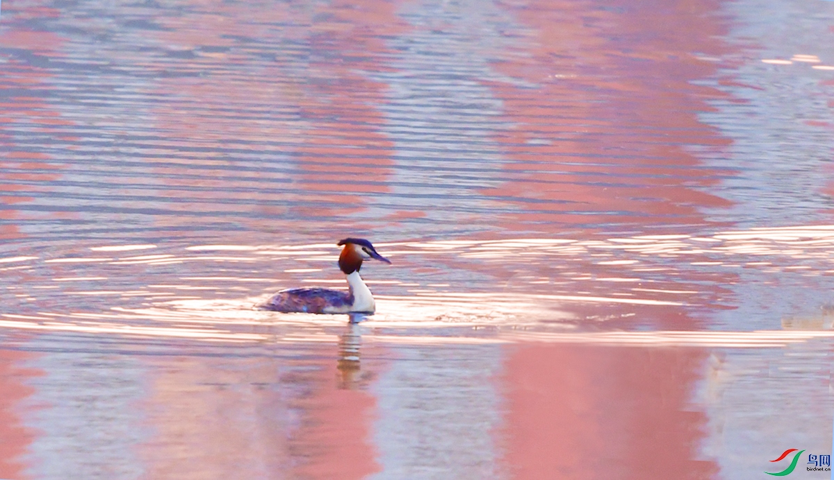 DSC_8963.JPG
