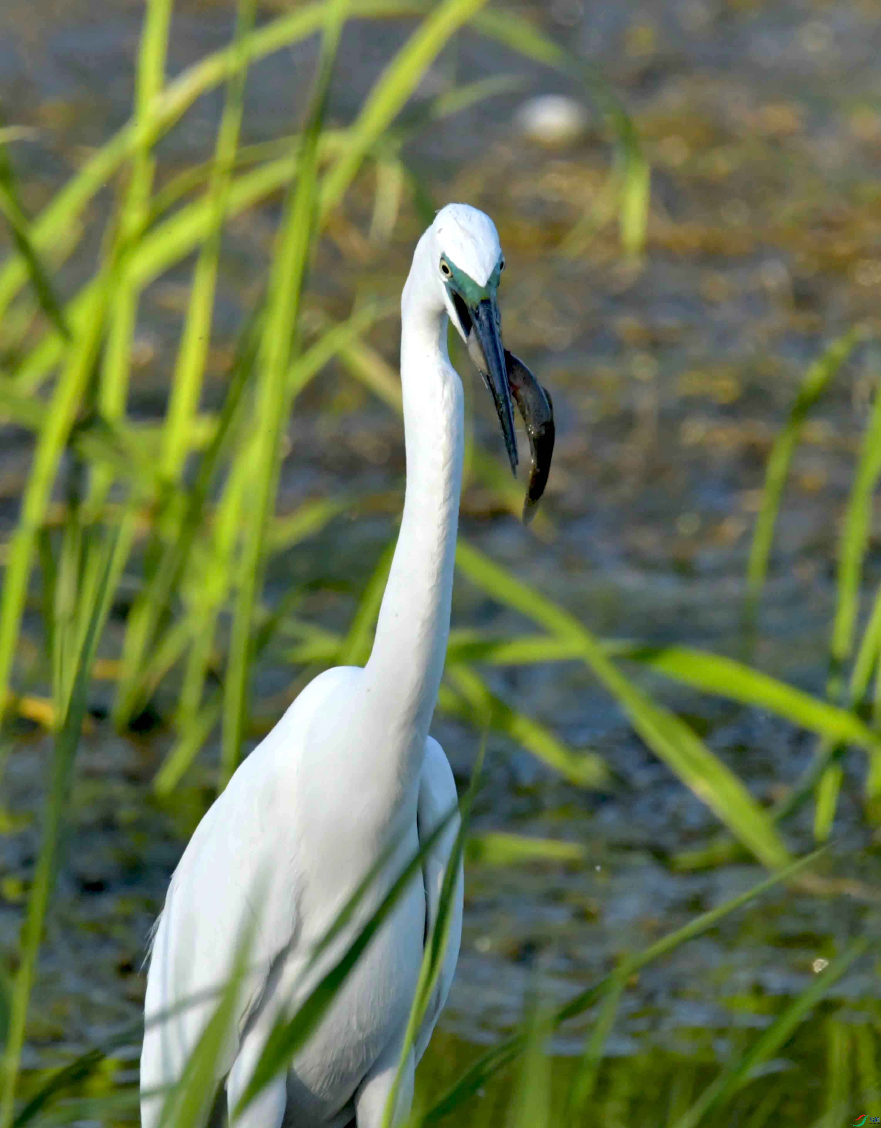 DSC_0962.JPG