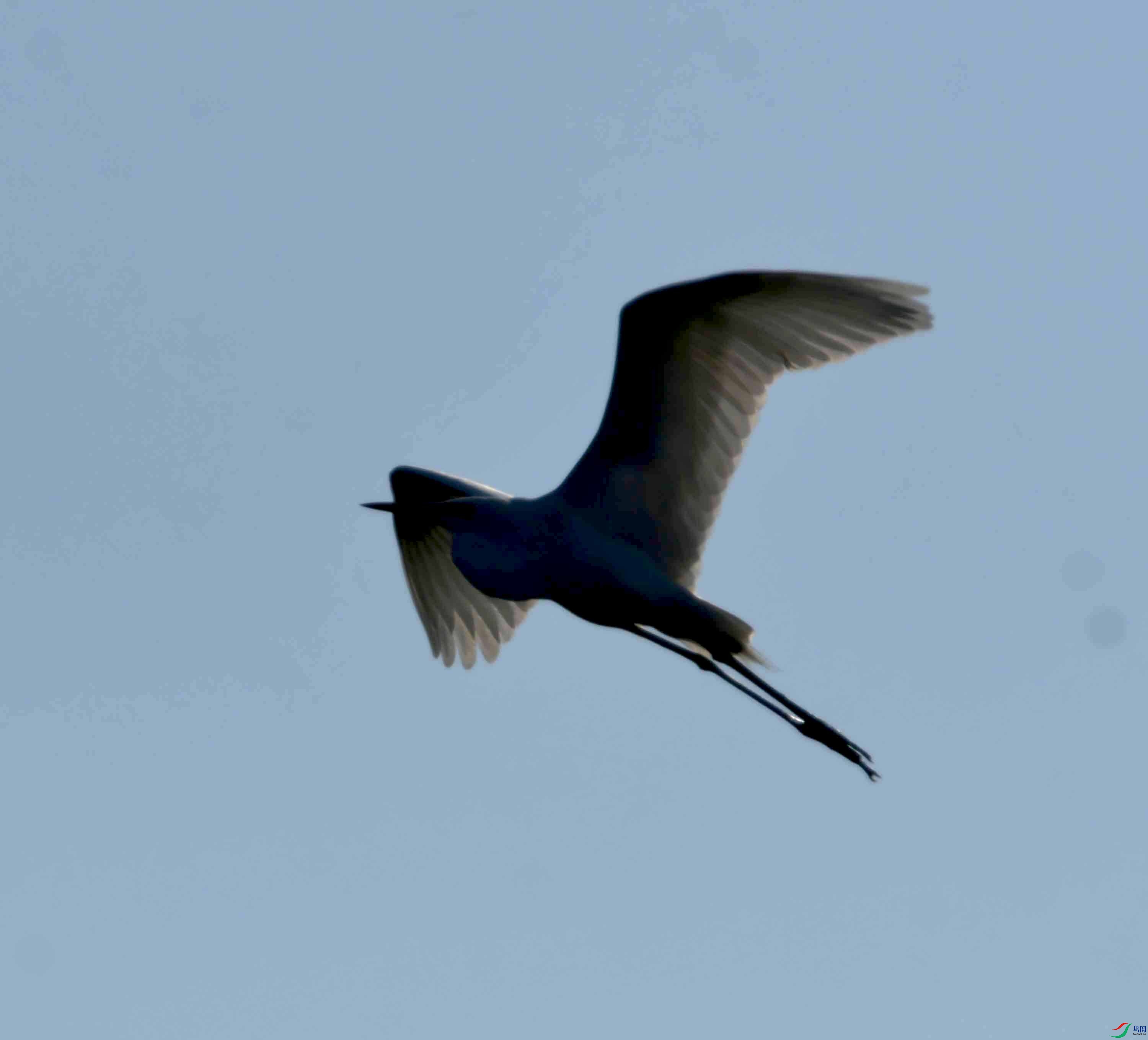DSC_9746.JPG