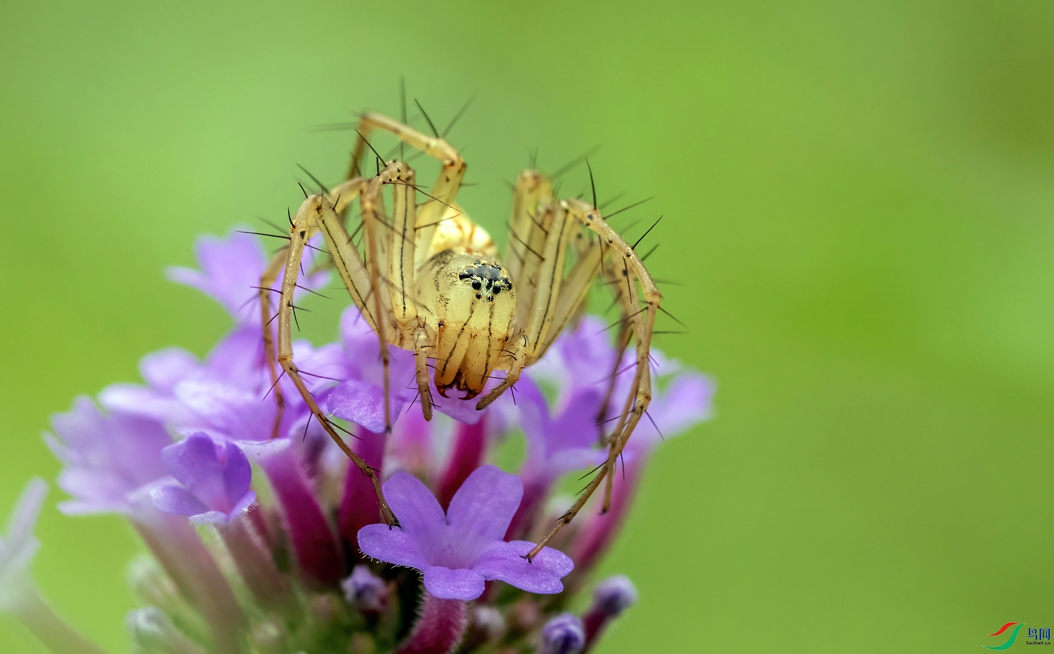 _M6A2301a.jpg