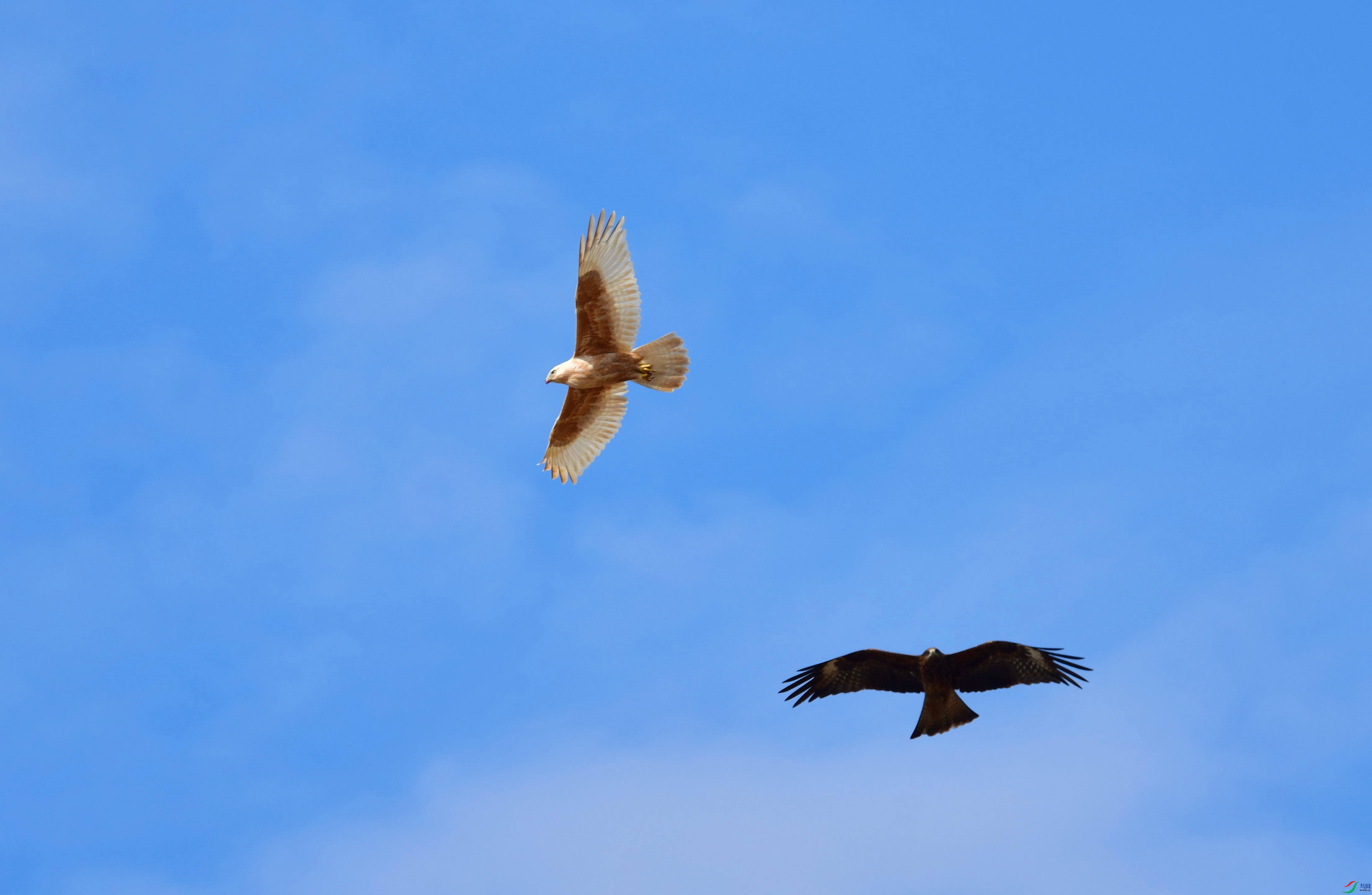 DSC_9071_��ͼ��_����222.jpg