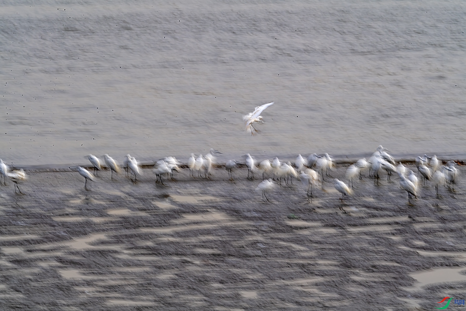 DSC_9891-2.jpg
