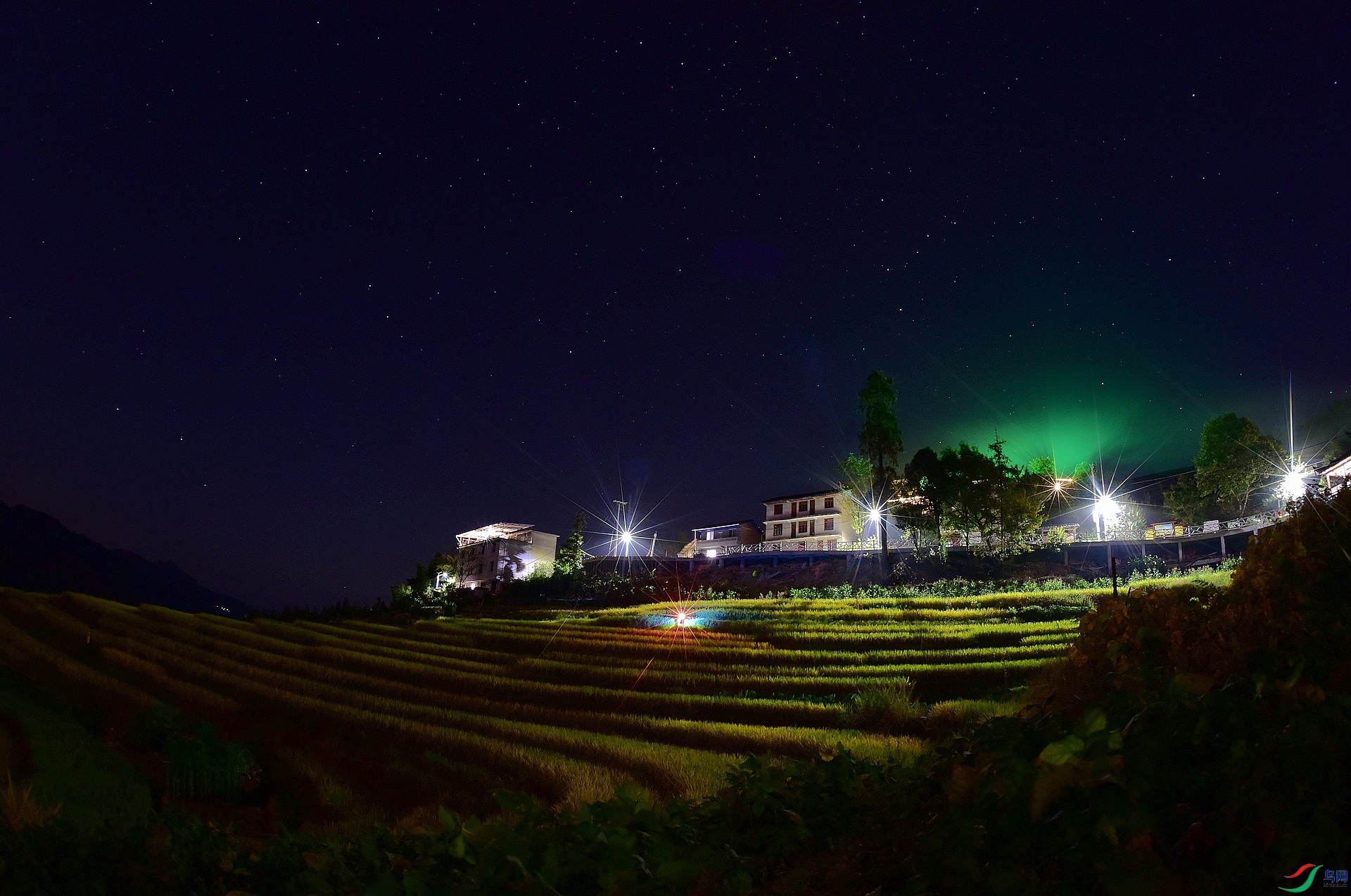 D8I_2110.jpg