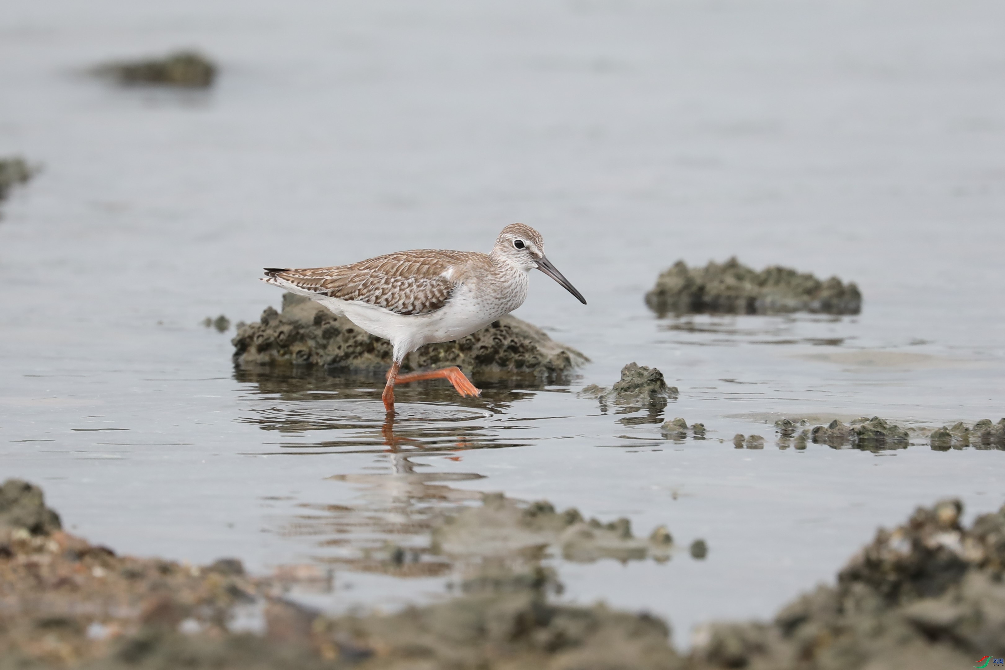 BL7A7003.JPG