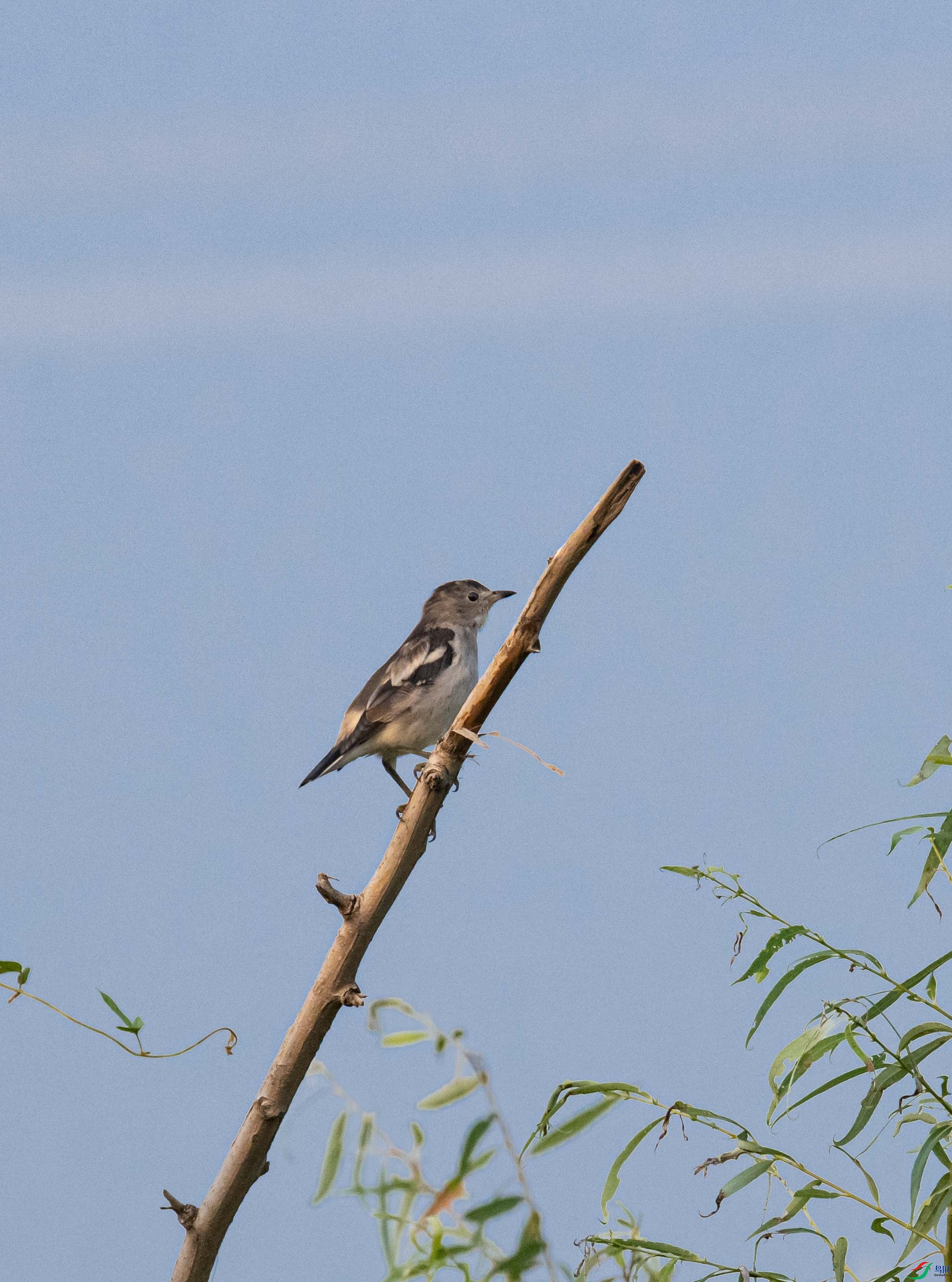 DSC_2238.jpg