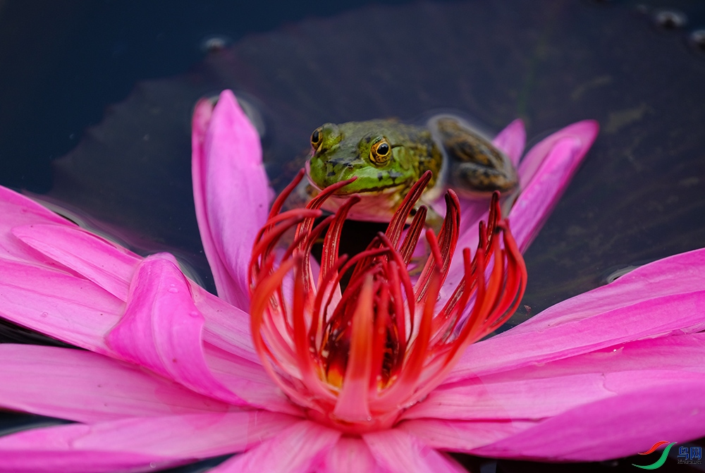 DSCF2104.1.jpg