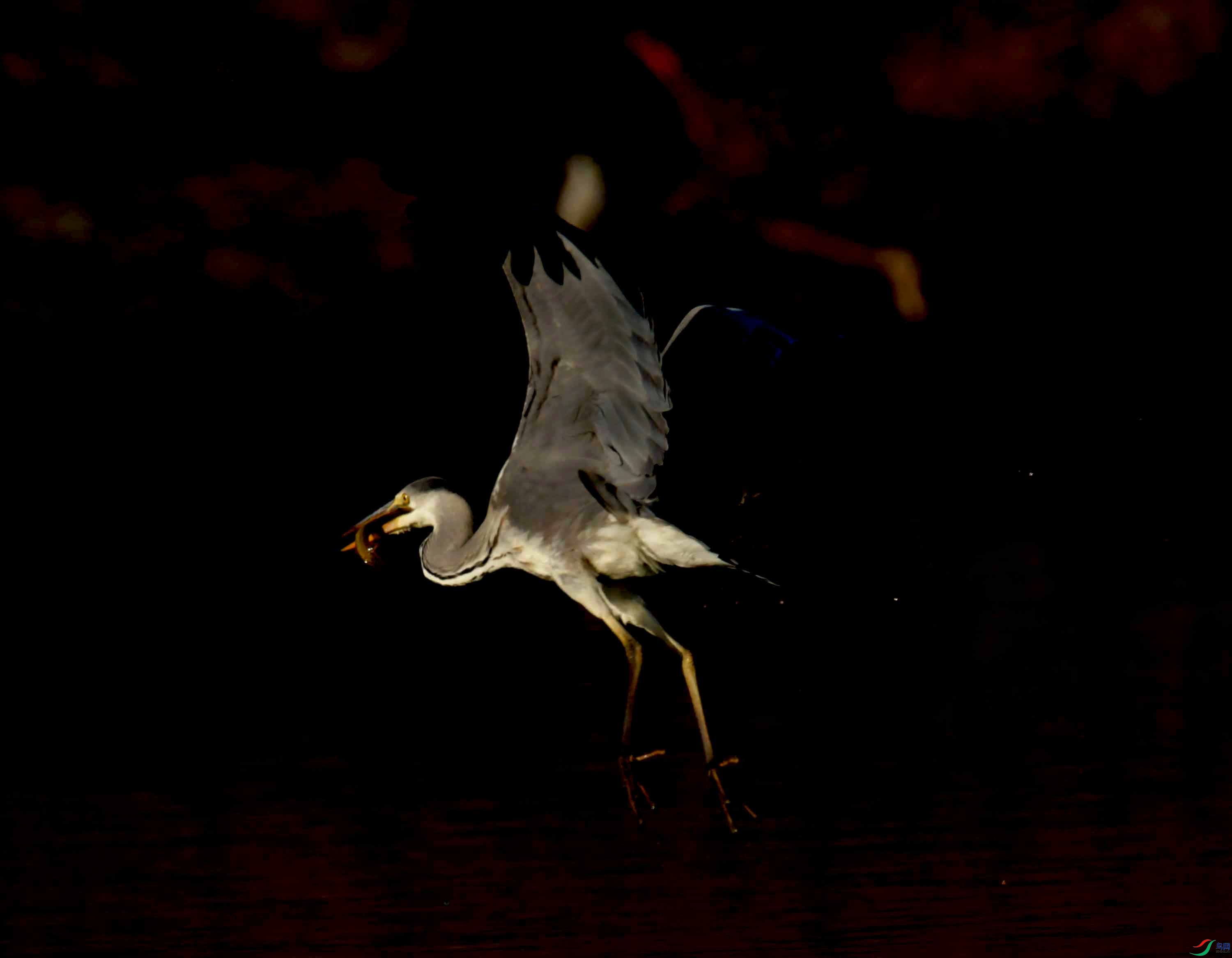 DSC_0176.JPG