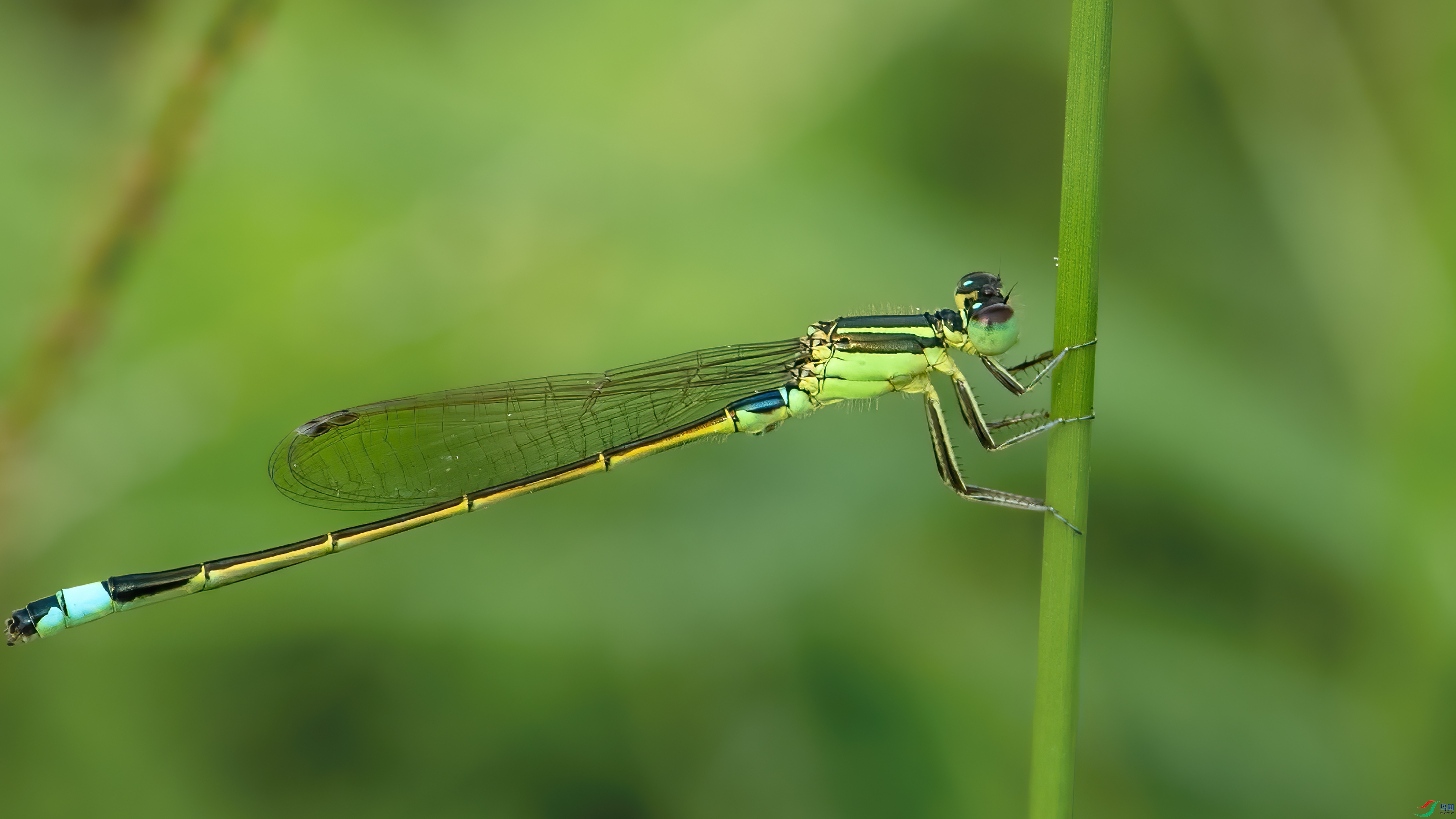 DSC_5097.jpg