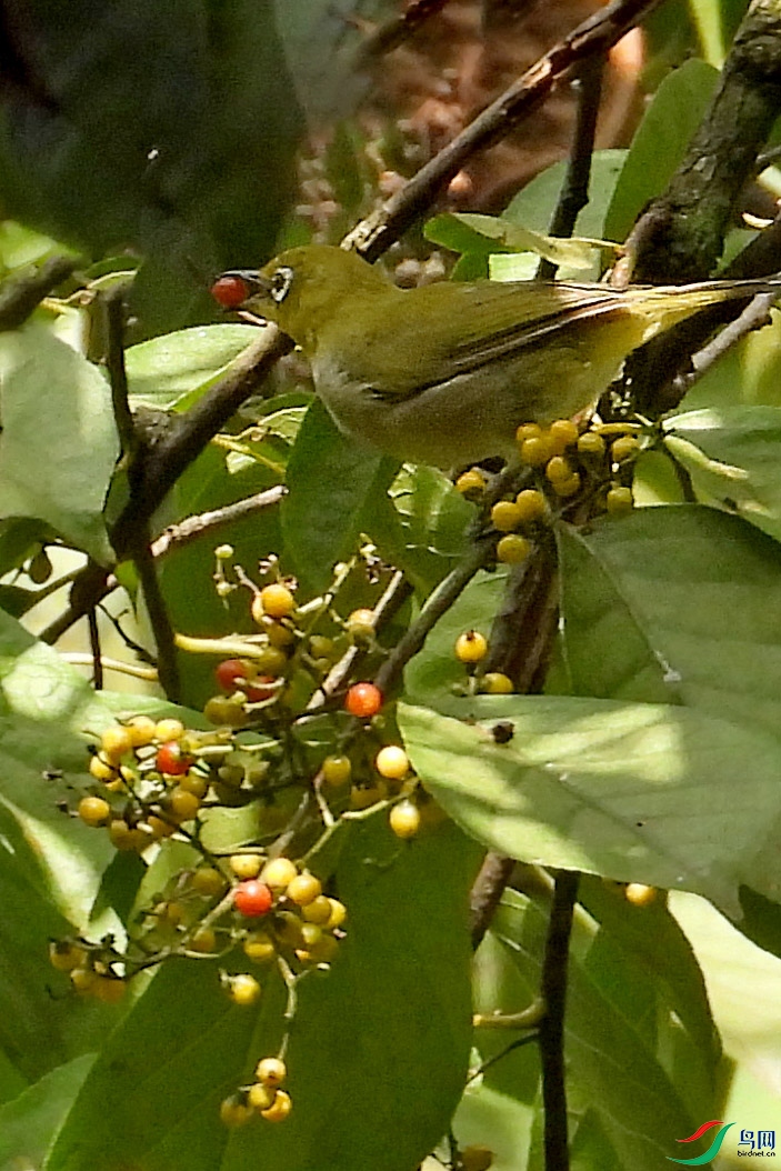 DSCN4755.jpg