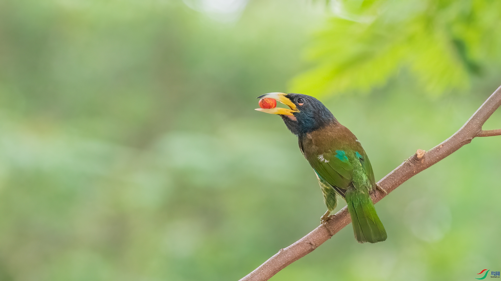 DSC_0722.jpg