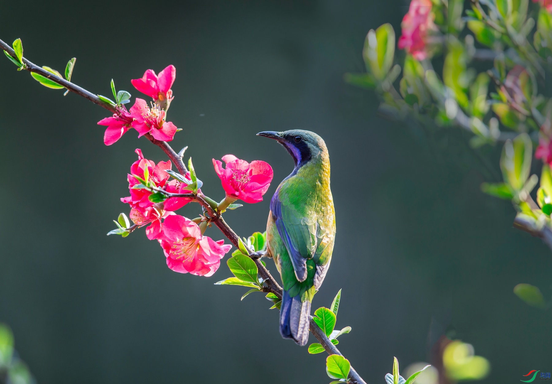 _R4R3533 - ����.jpg