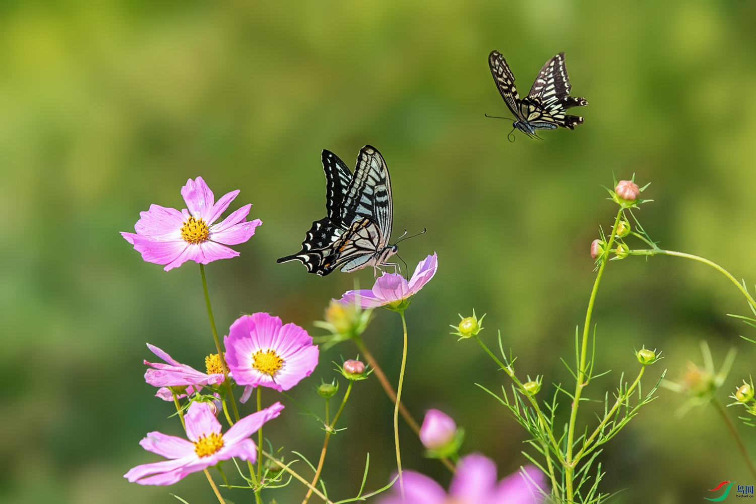 1N5A6479 ����.jpg