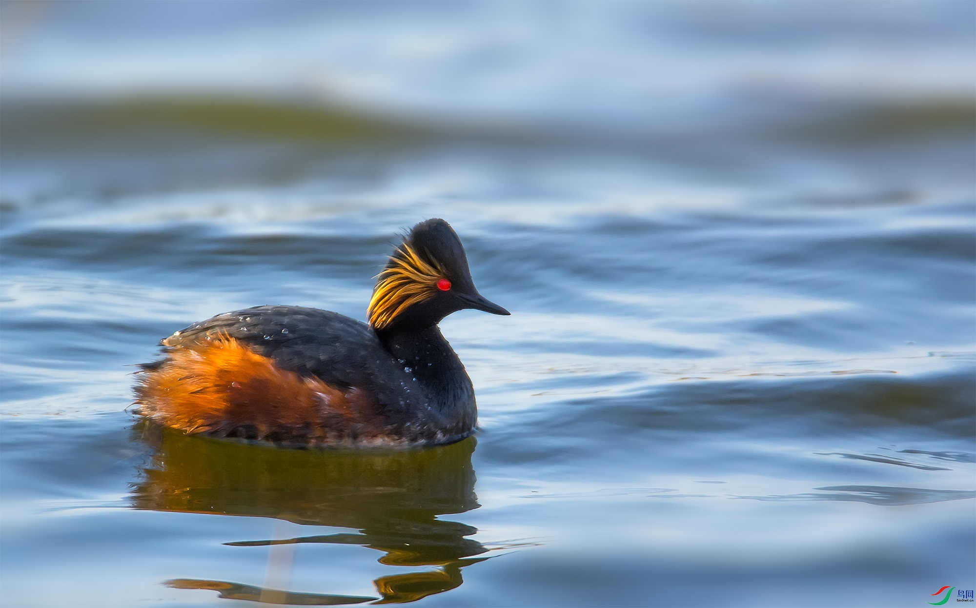 DSC_0626-1.jpg