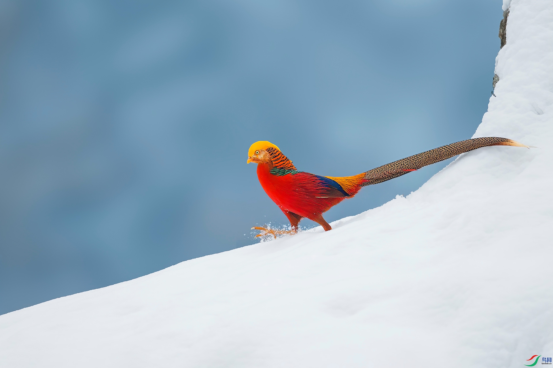 DX3W3291-5.jpg