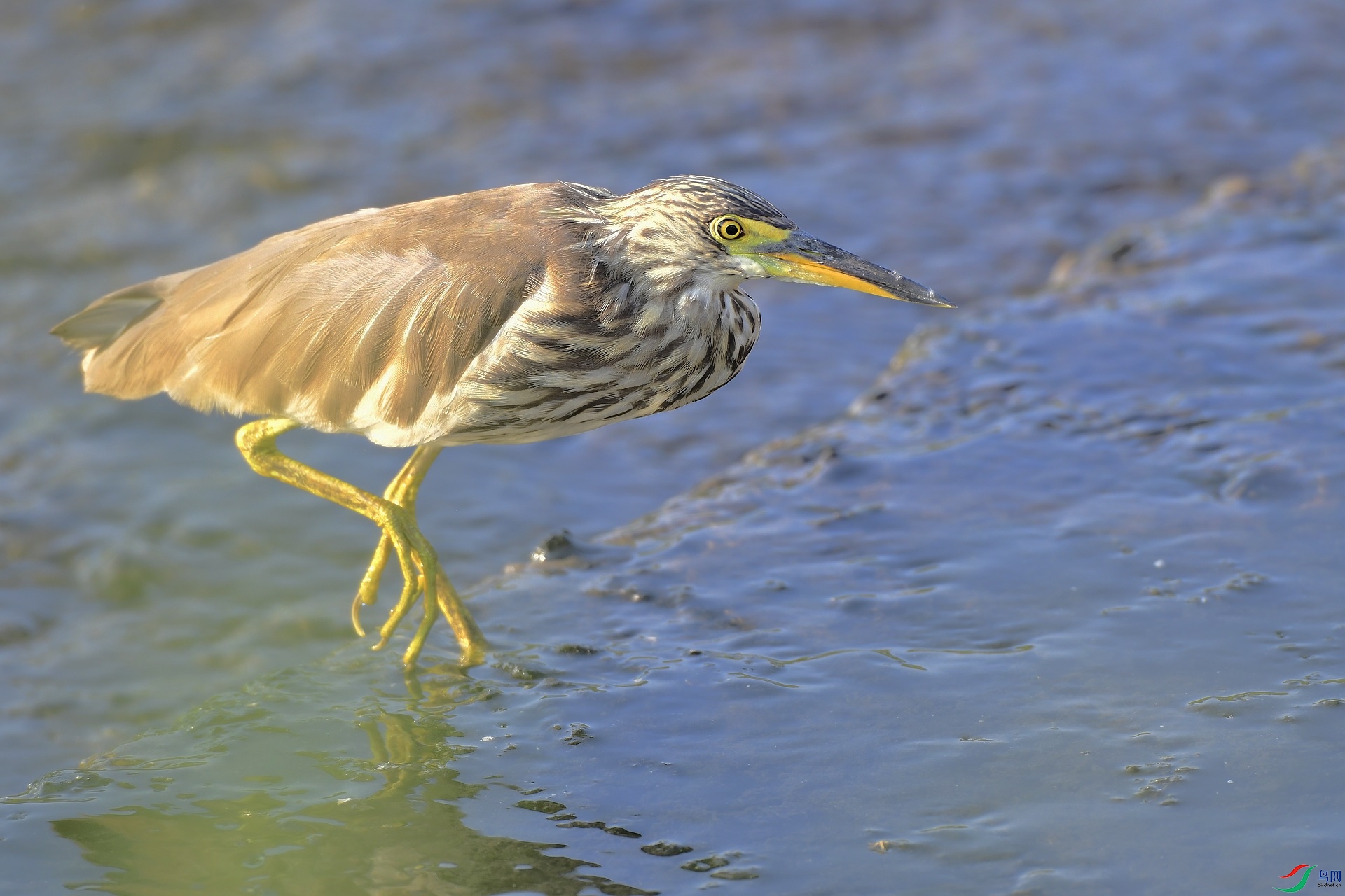 _D5D0258.jpg