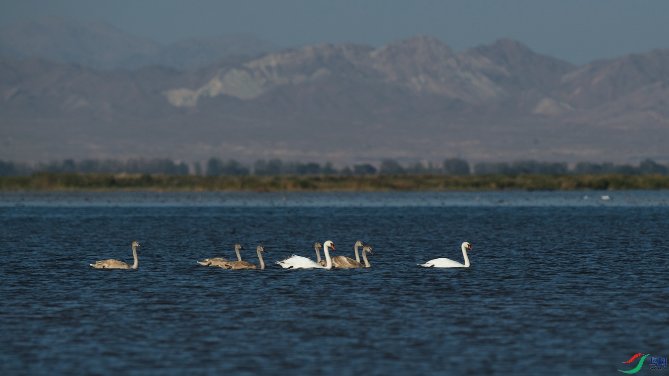 DSC_8672 - ����.jpg