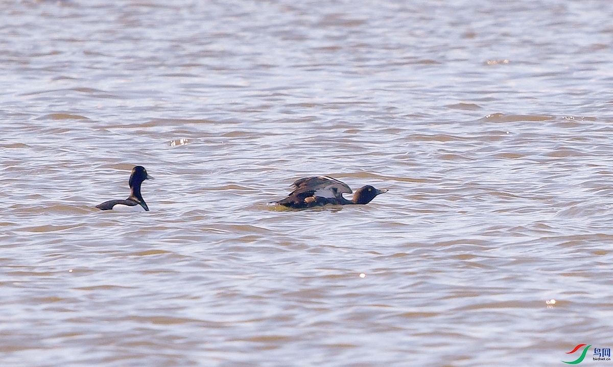 DSC_8189.JPG