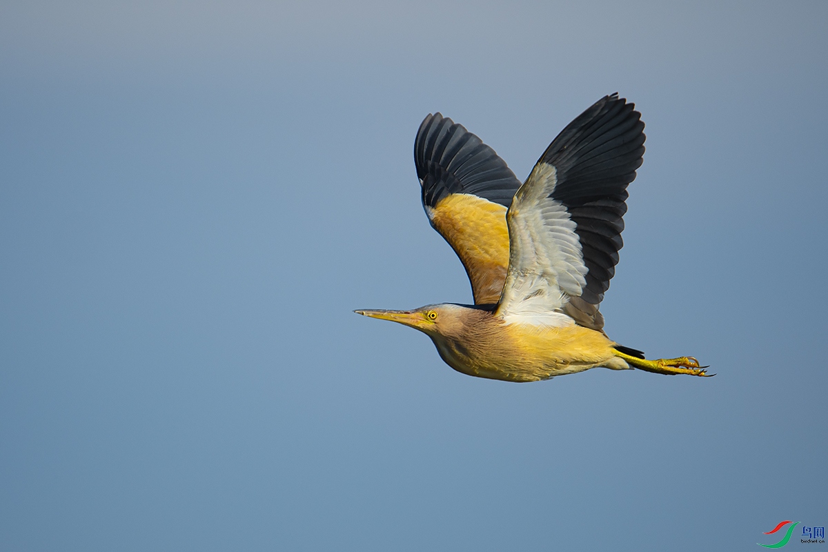 DSC_6580.jpg