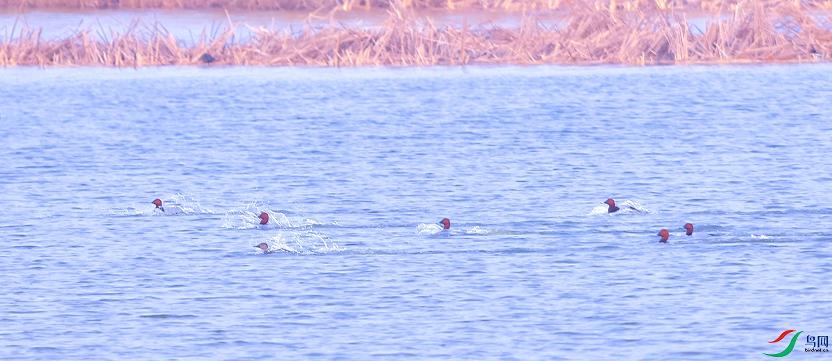 DSC_6227.JPG