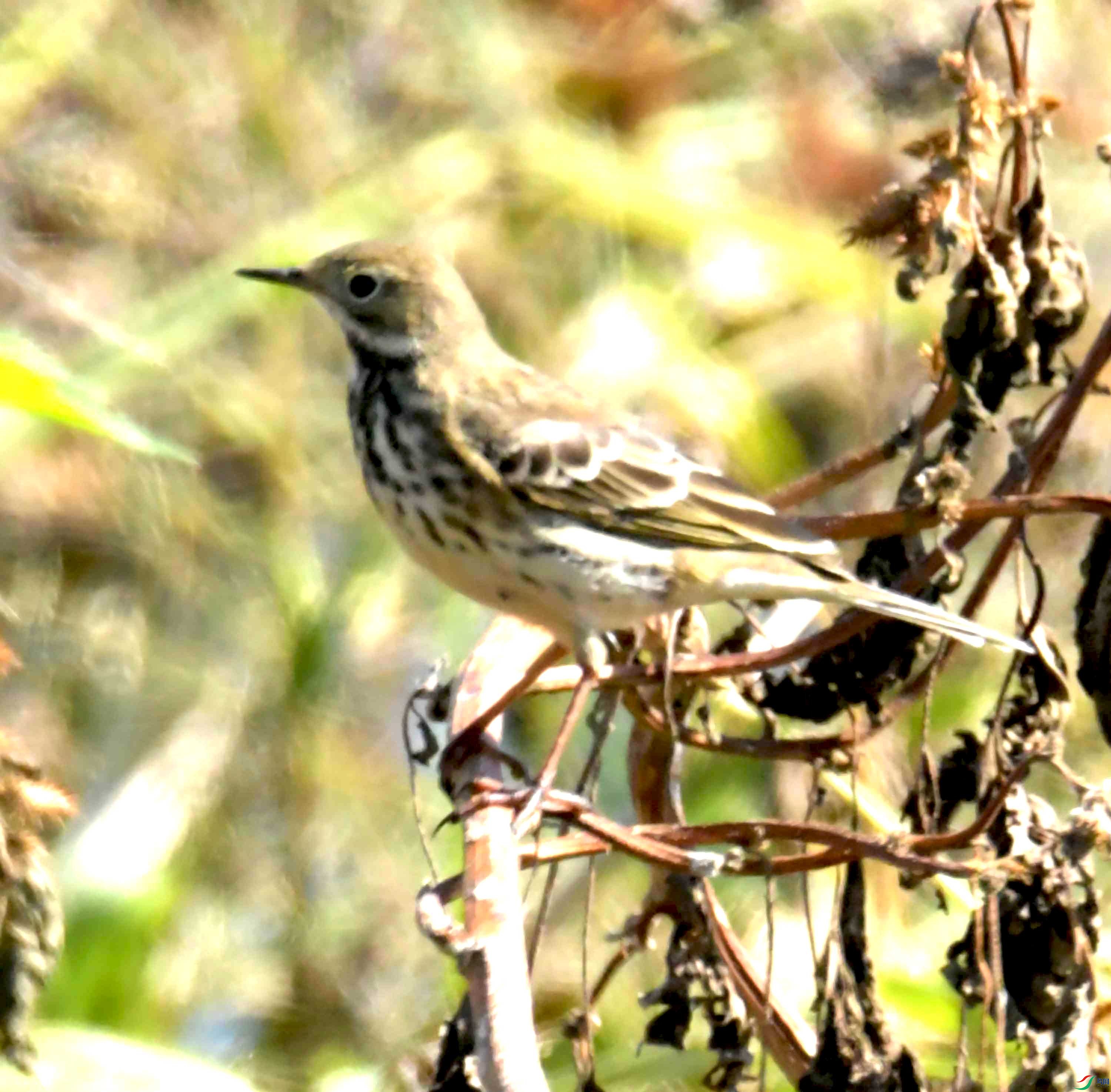 DSC_9991.JPG