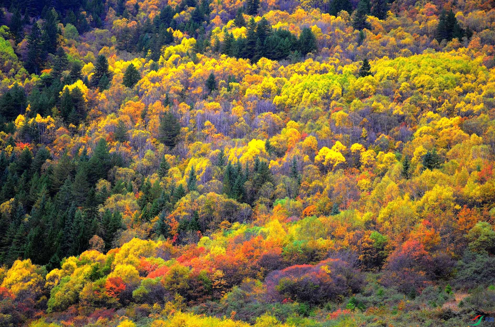 ��կ�� 304.jpg