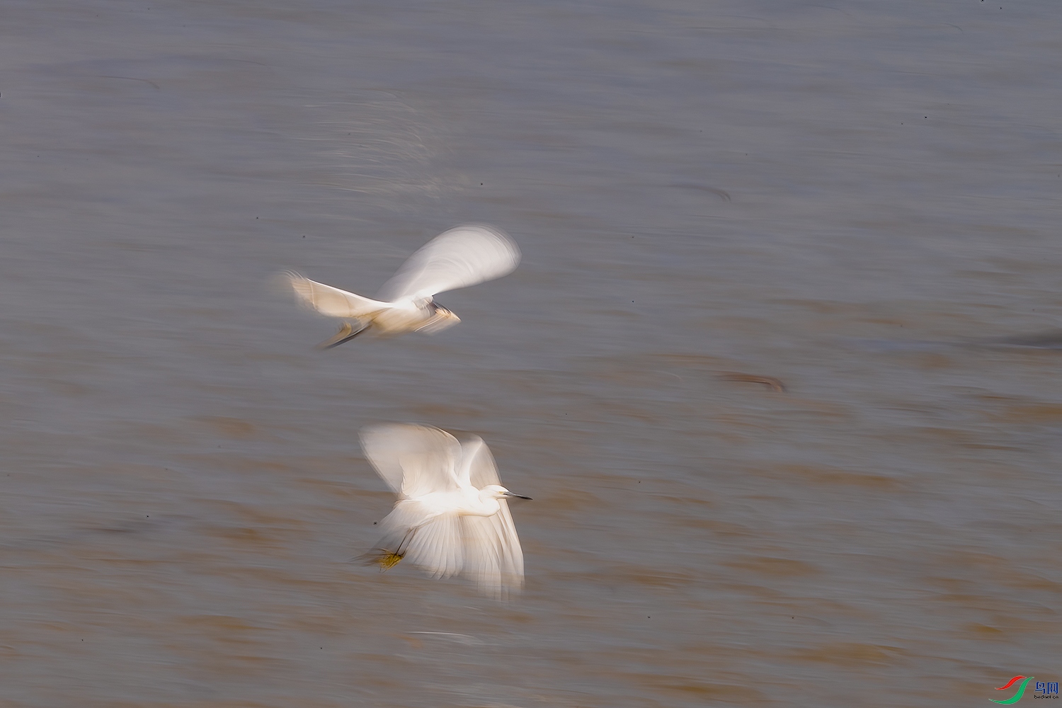 DSC_0029-2.jpg