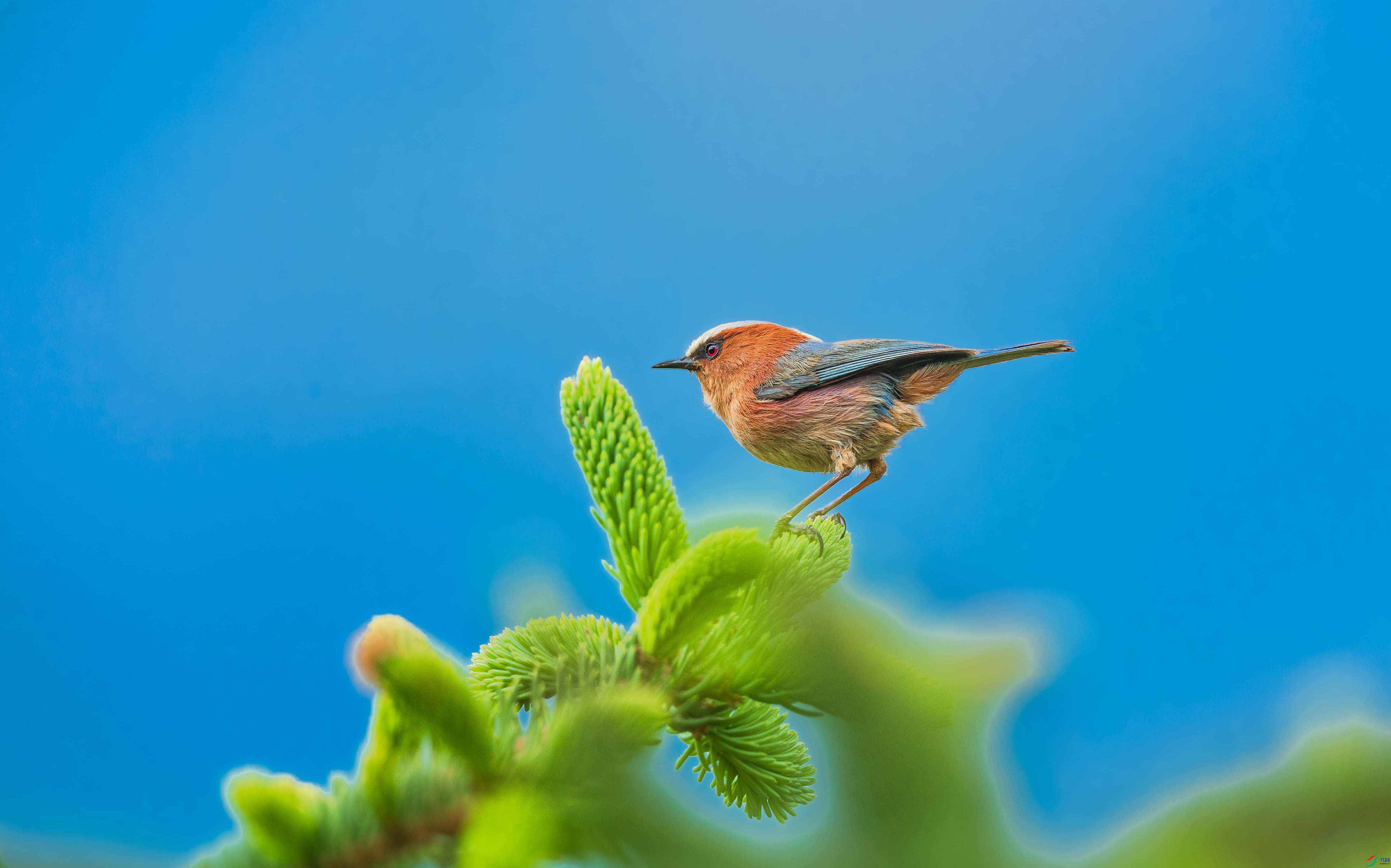 A73I4952 ����.jpg