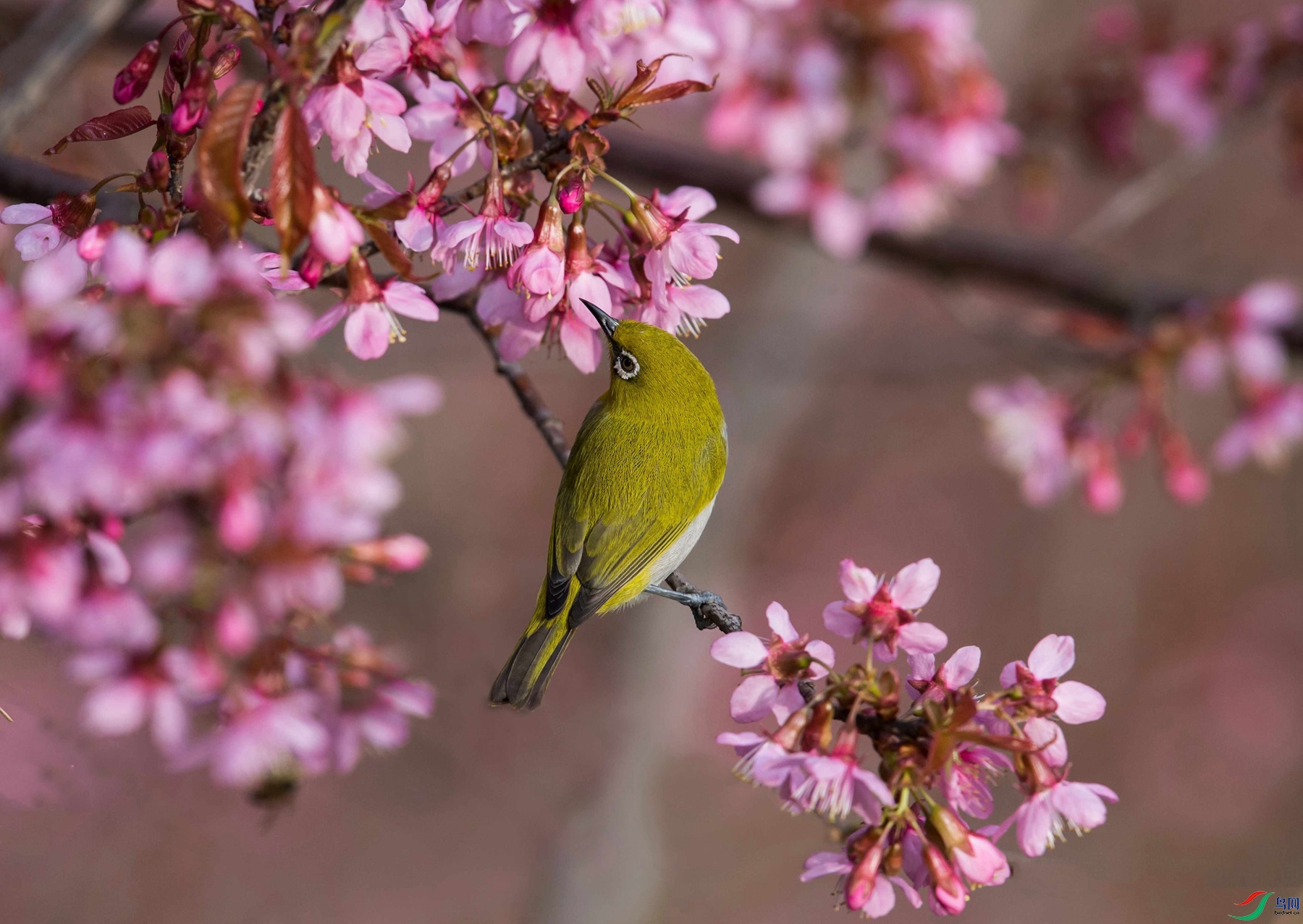 _R4R0571 - ����.jpg