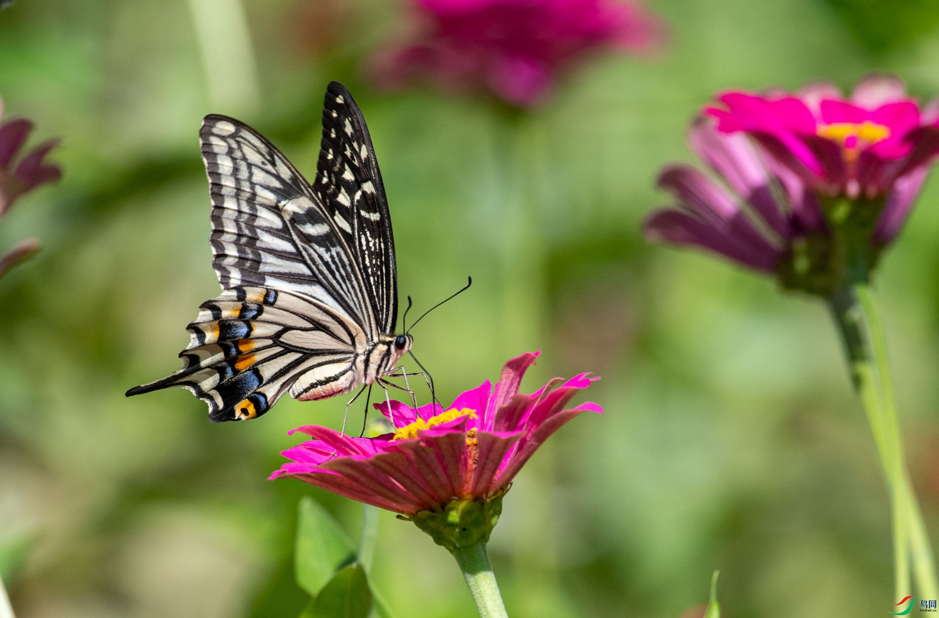 DSC_3450.jpg