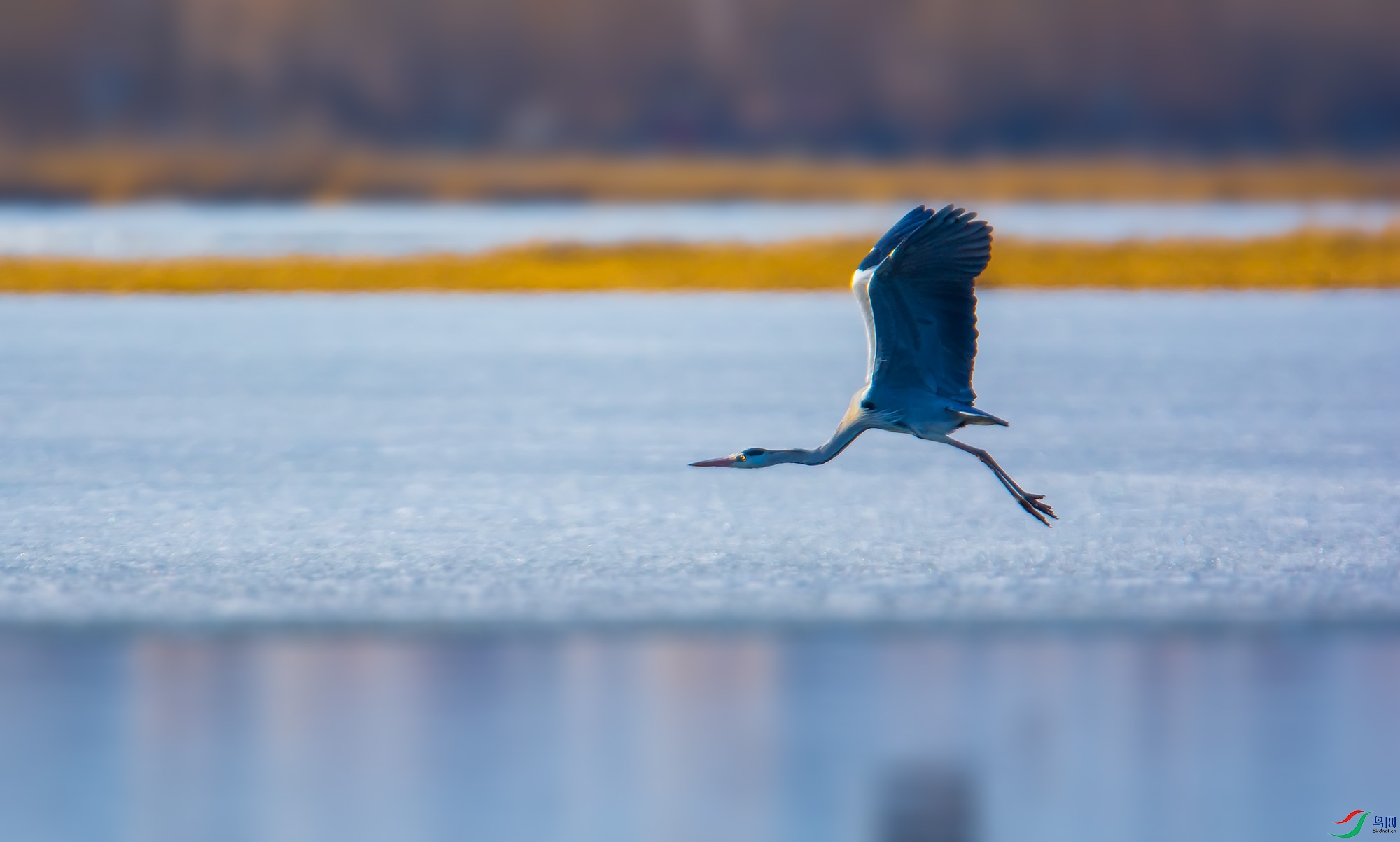 DSC_1617.jpg