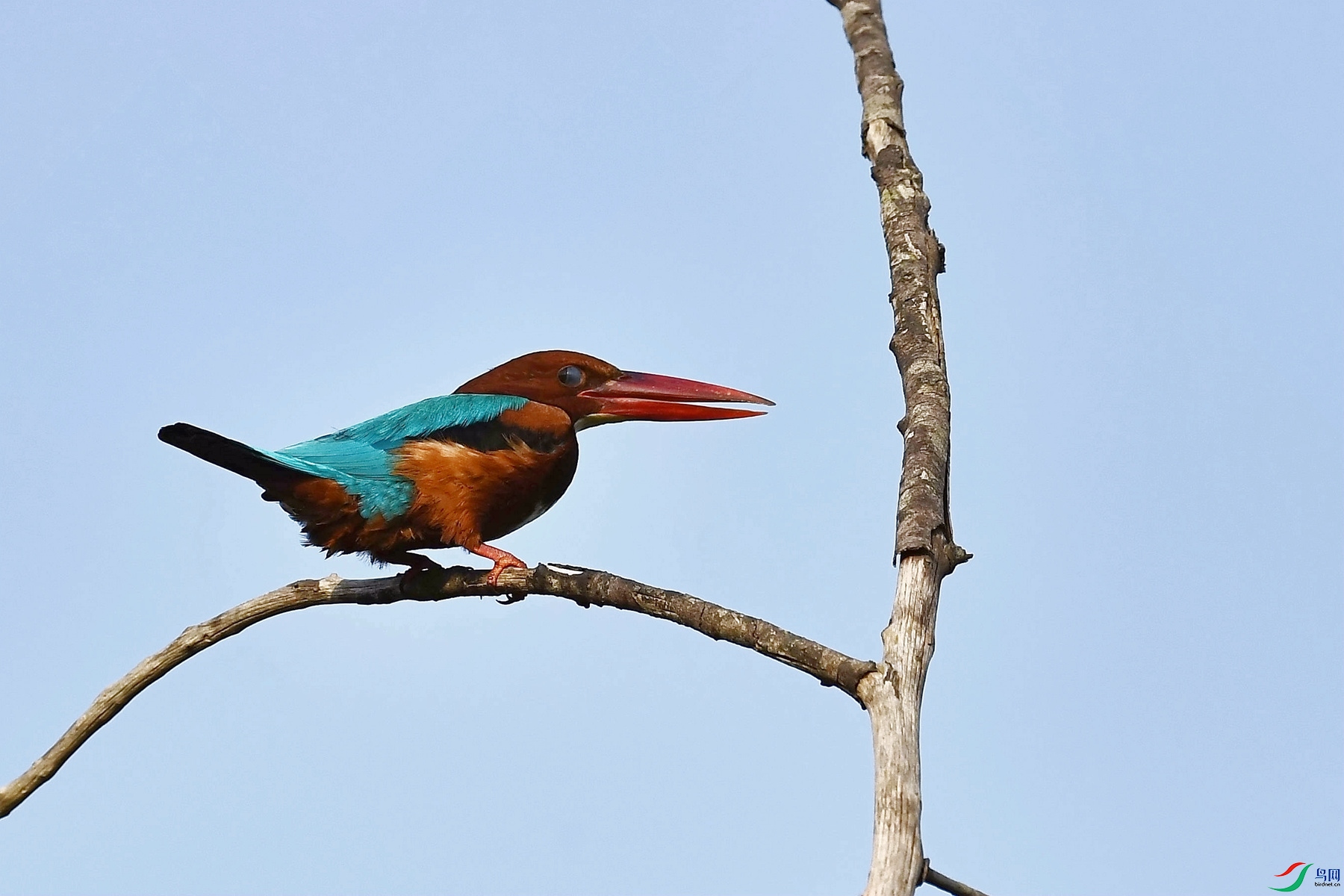 DSC_5750_����.jpg
