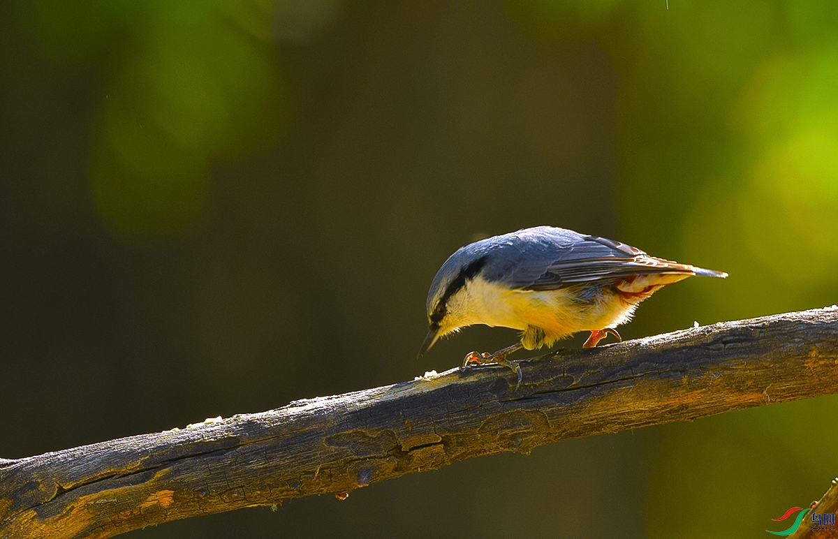 DSC_0079.JPG