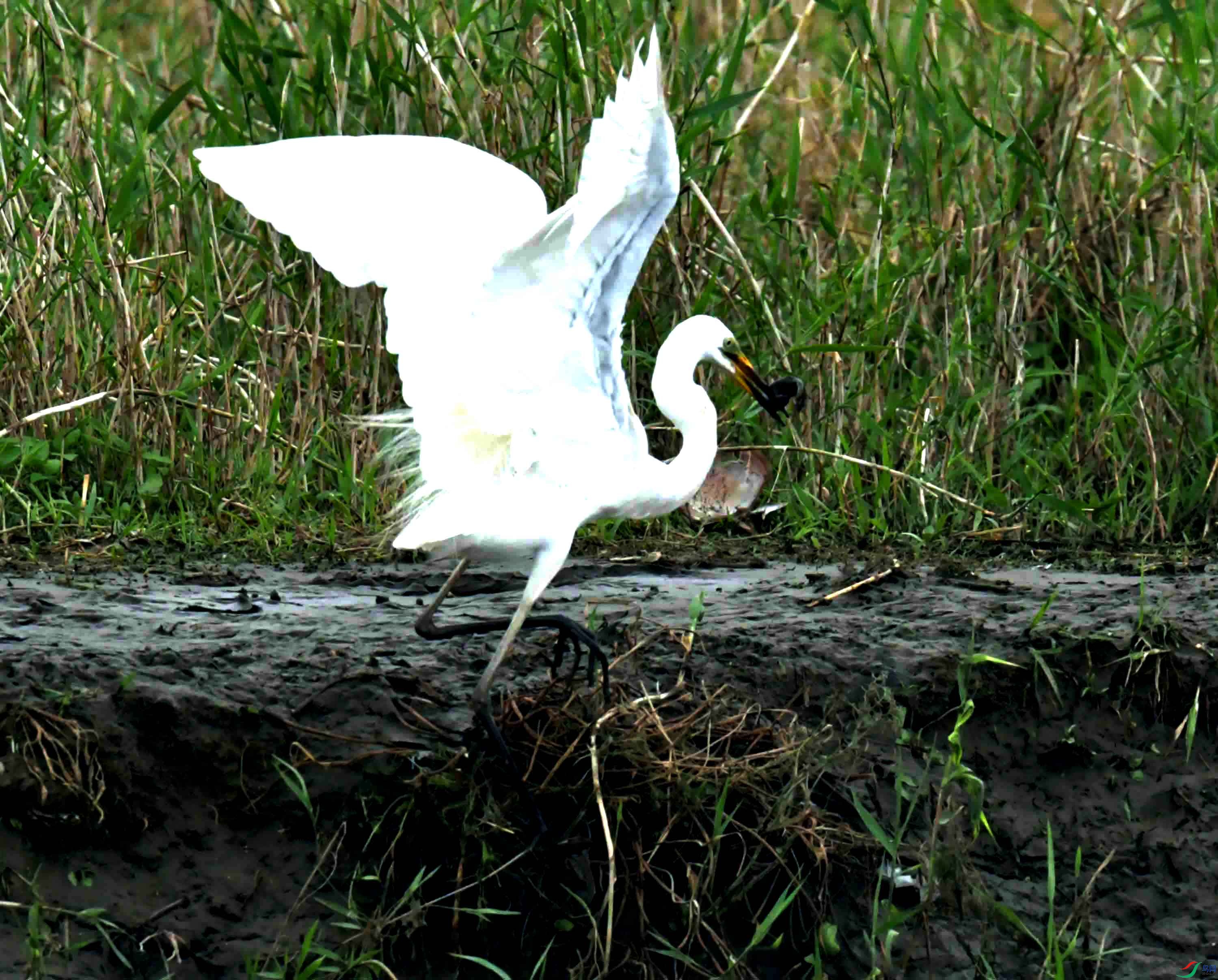 DSC_0095.JPG