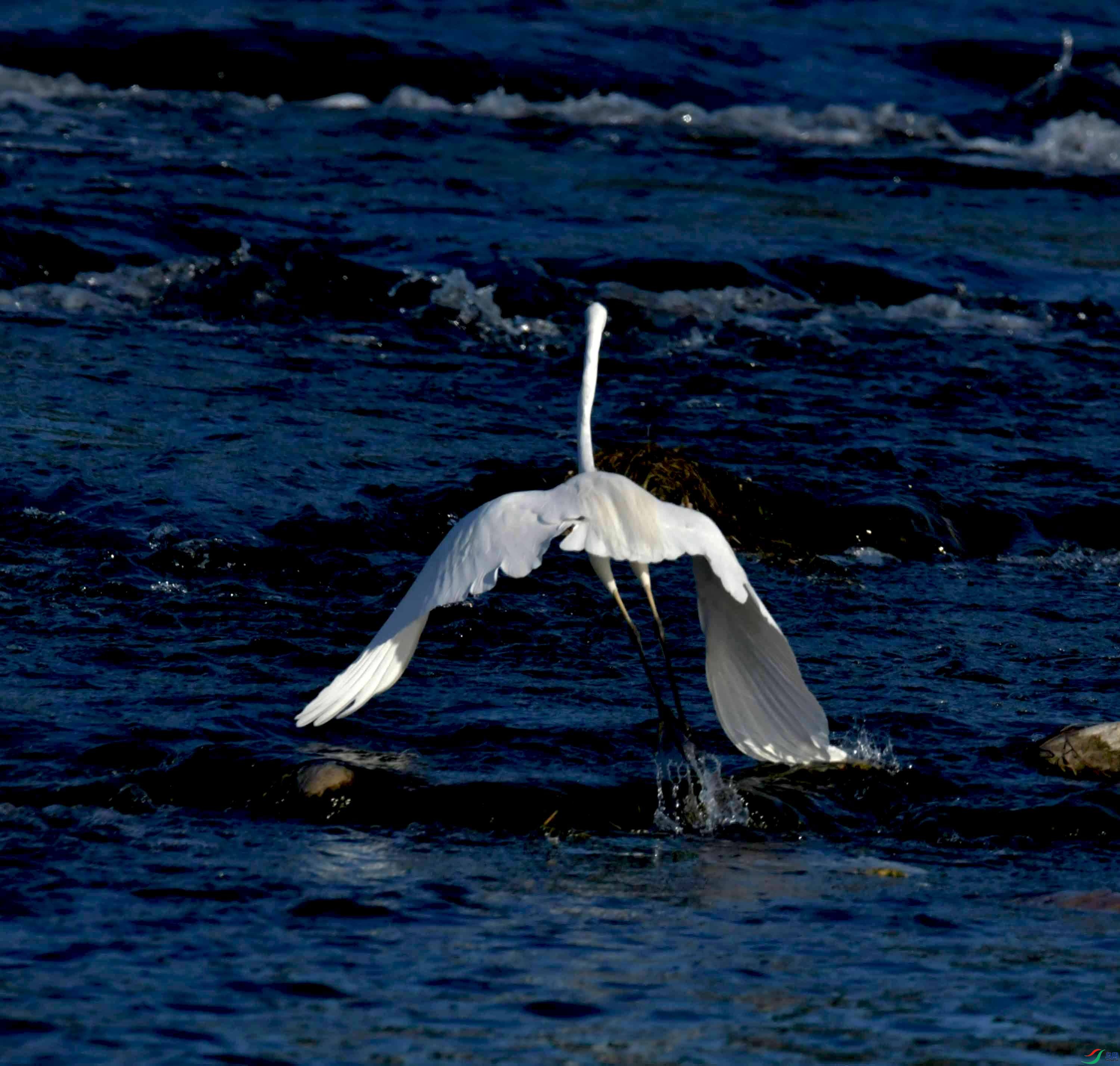 DSC_9709.JPG