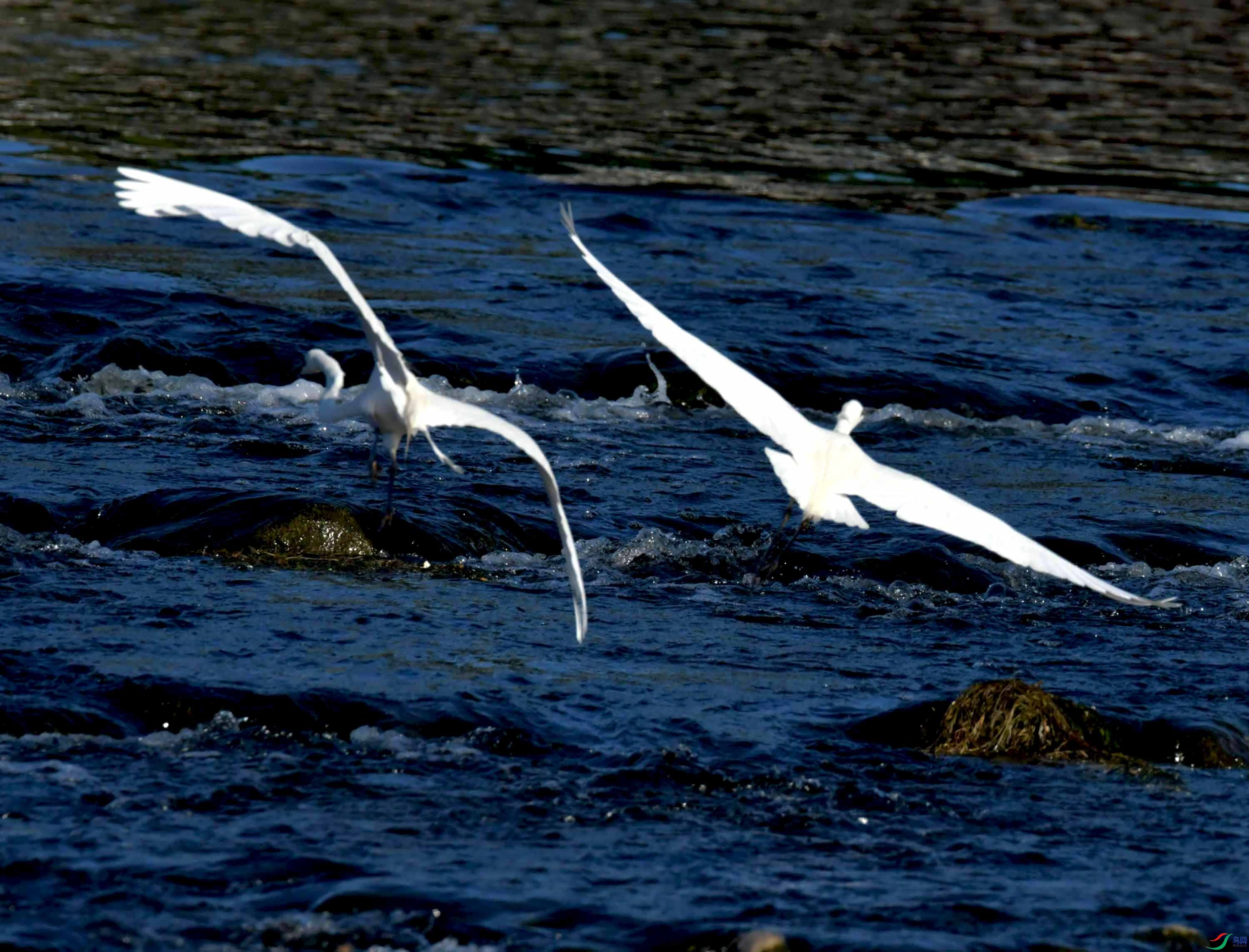 DSC_9710.JPG