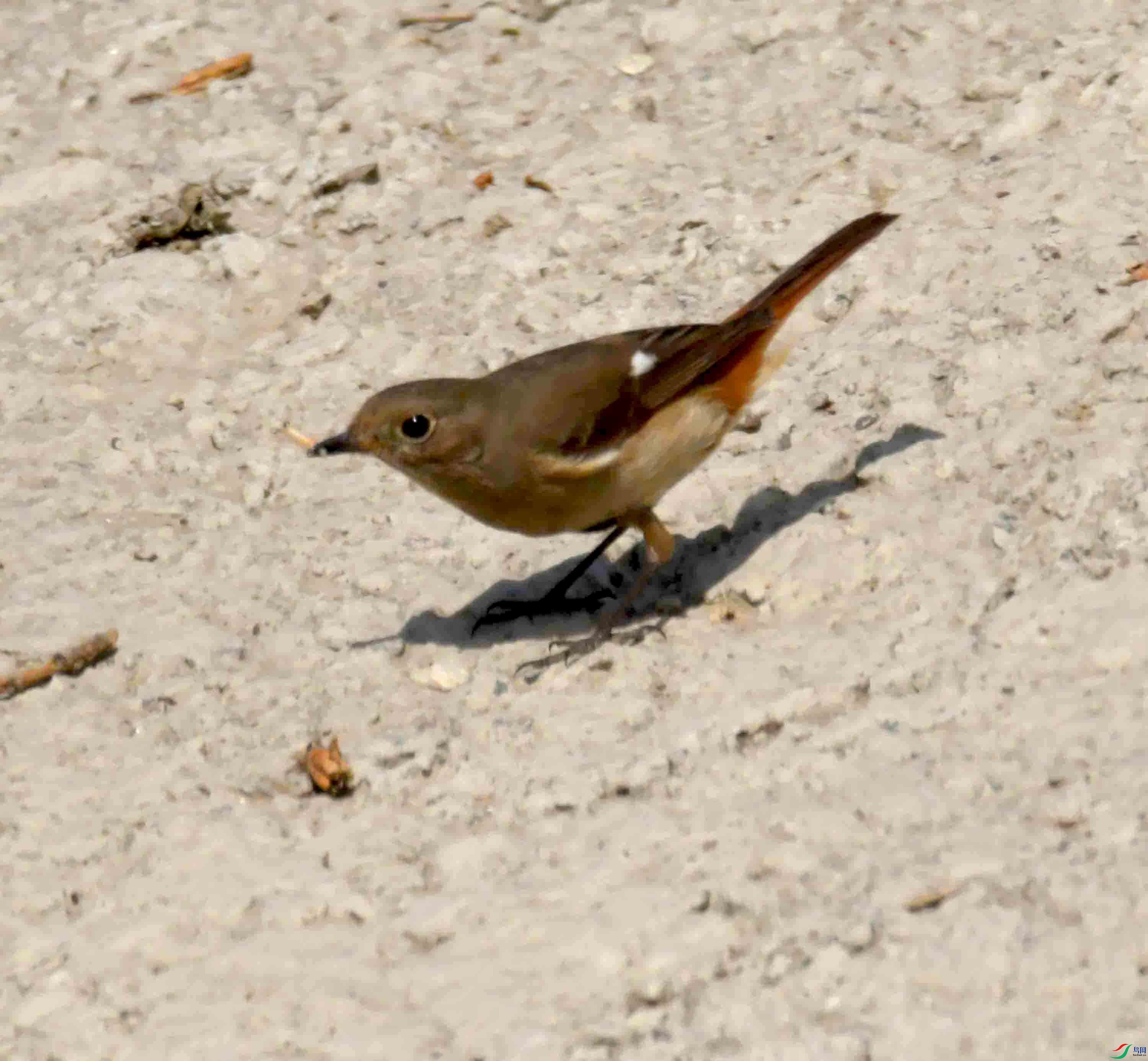 DSC_8535.JPG