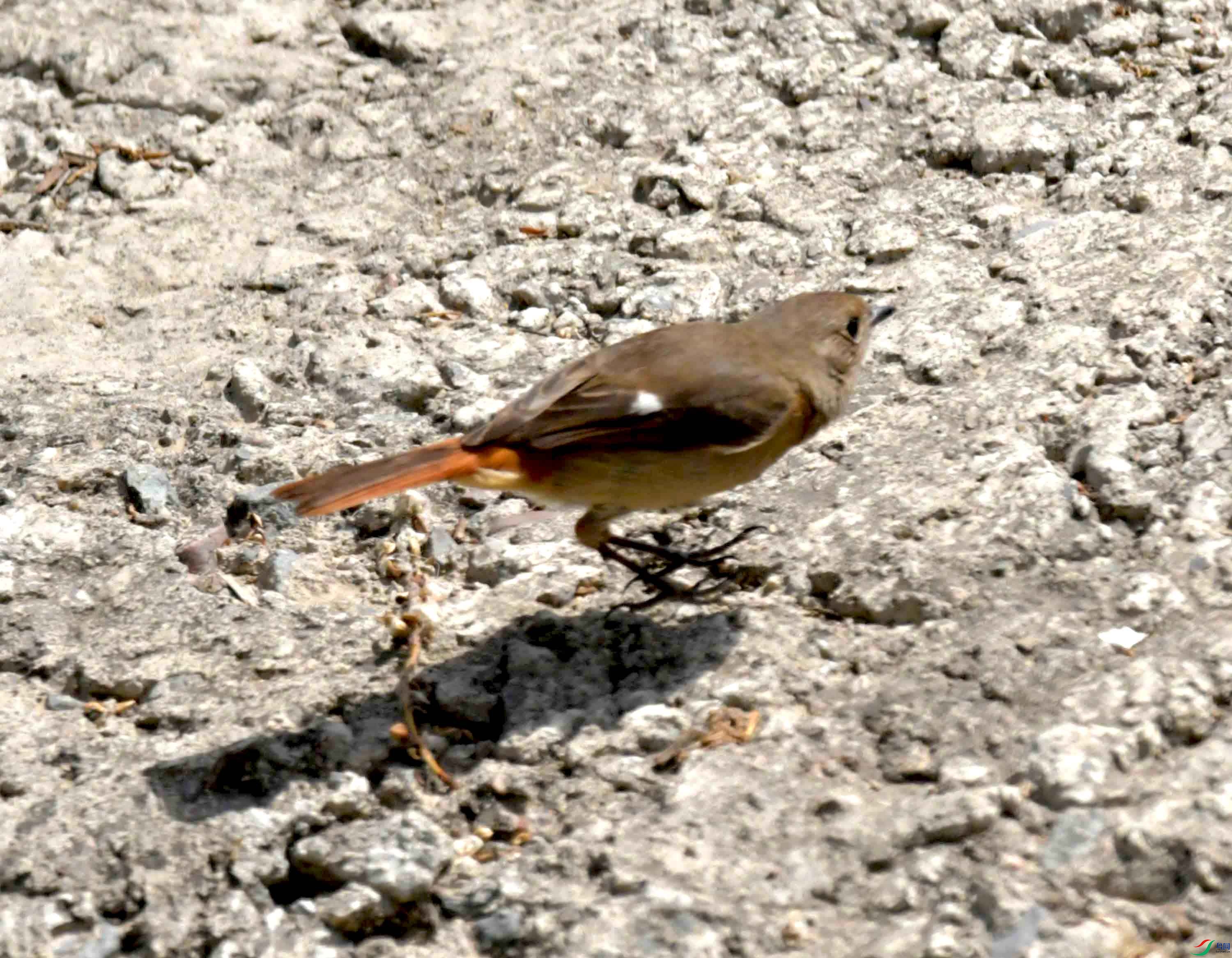 DSC_8830.JPG