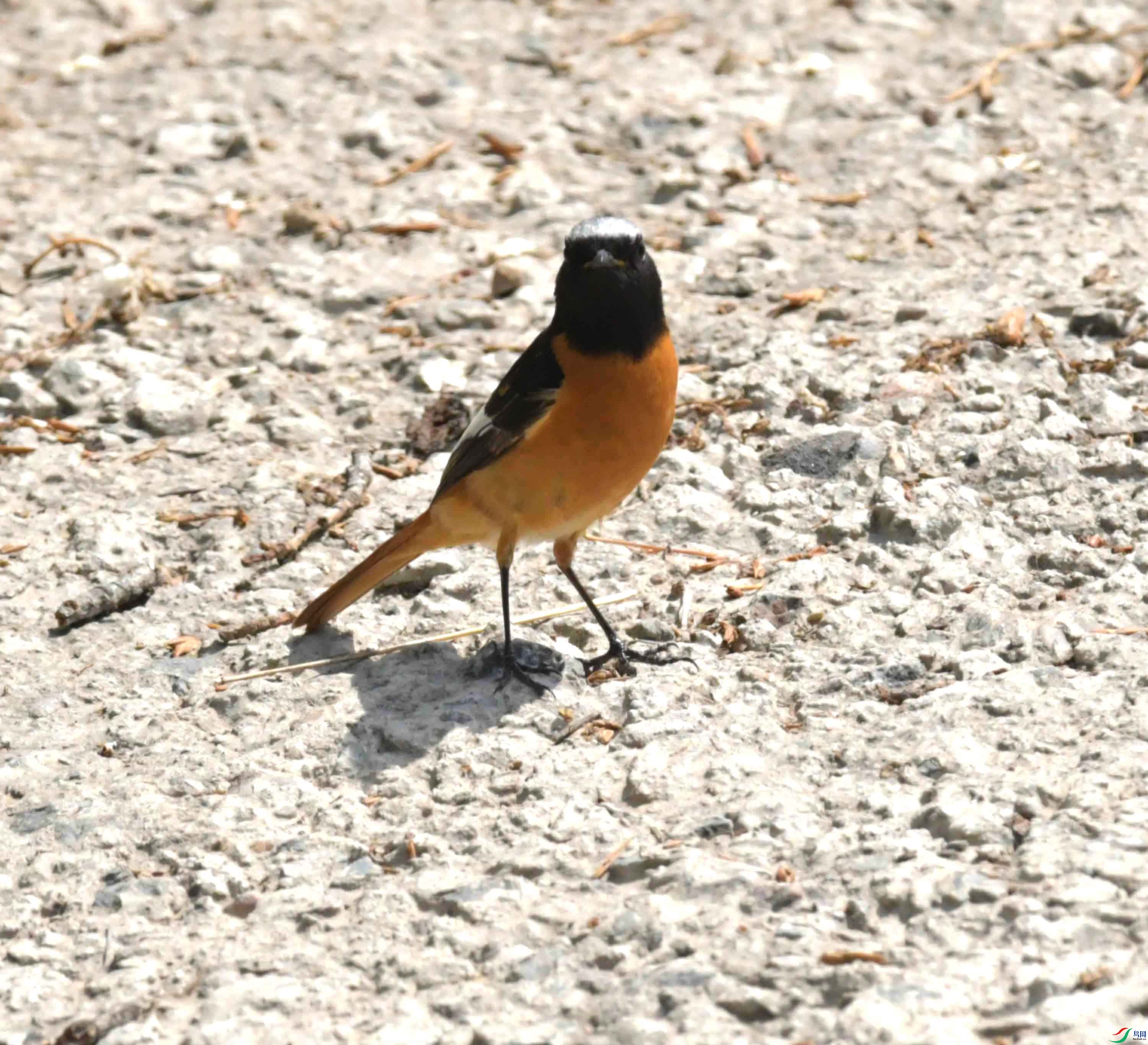 DSC_8834.JPG