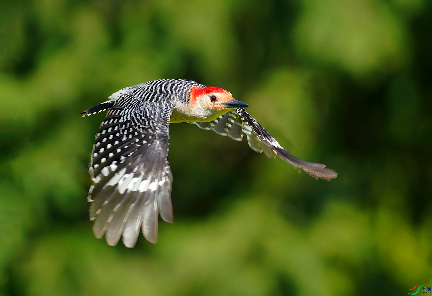 DSC03529--.jpg