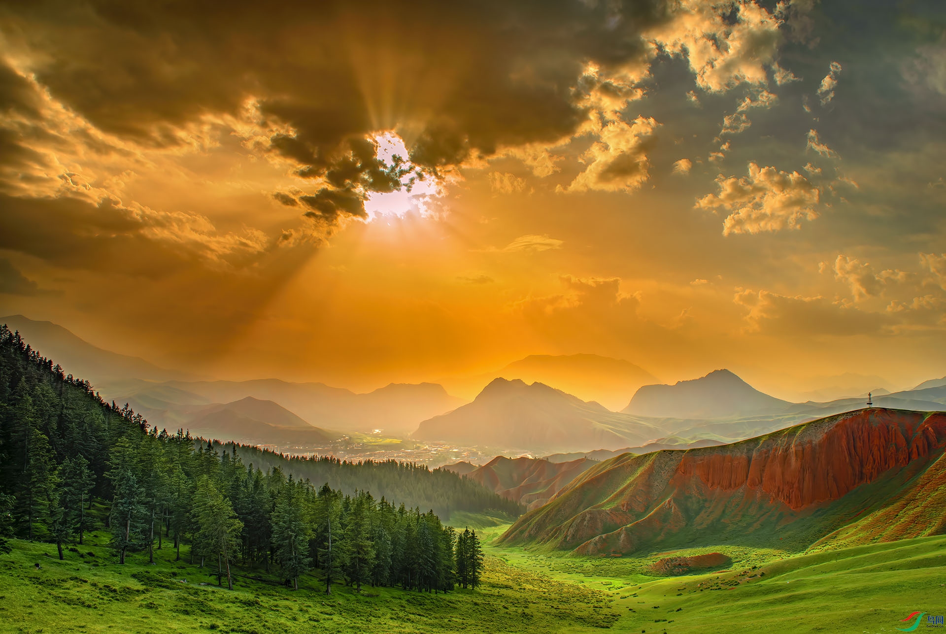 _DSC7731-NEF_DxO_DeepPRIME - ׿��ɽ.jpg