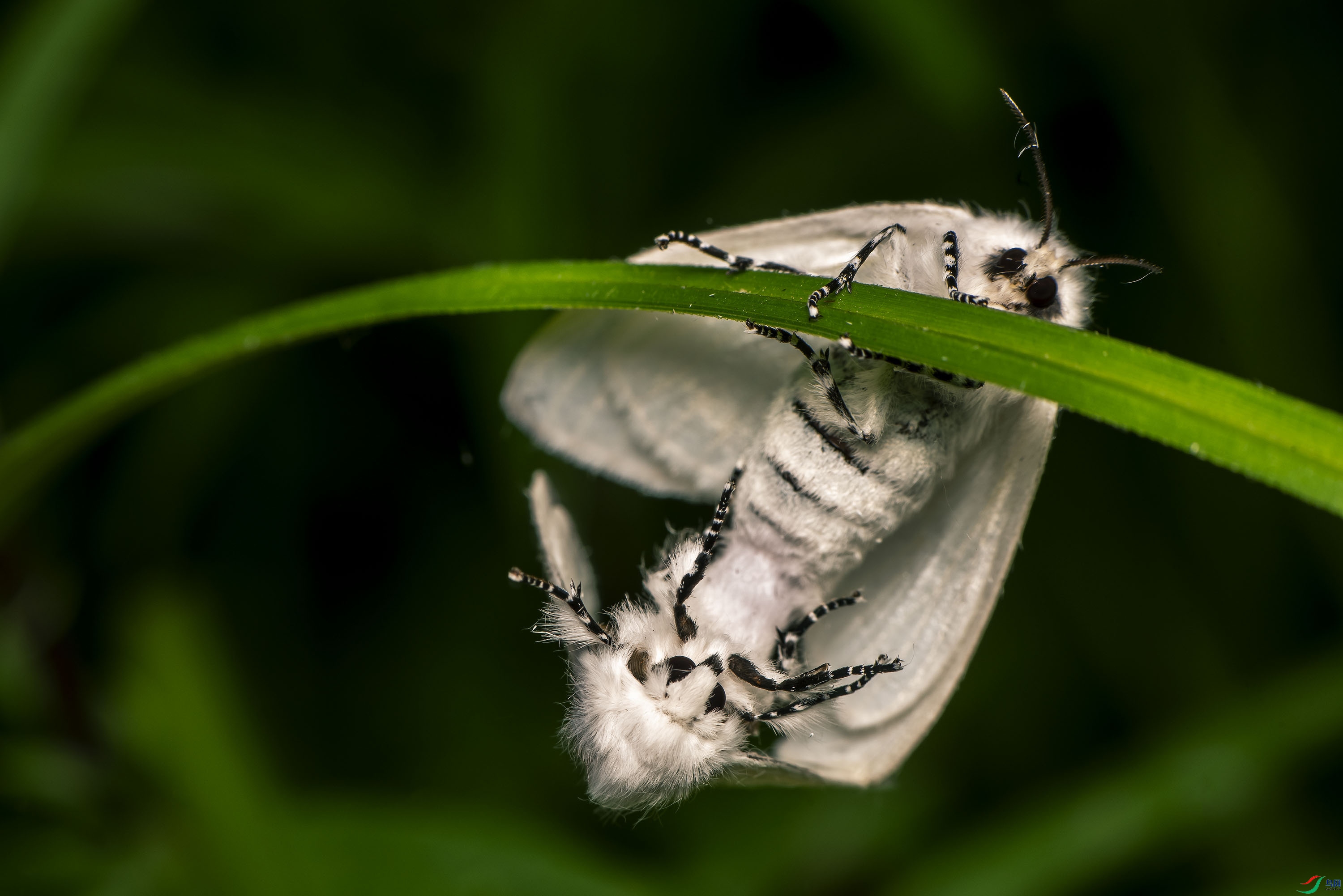 DSC_1636.jpg
