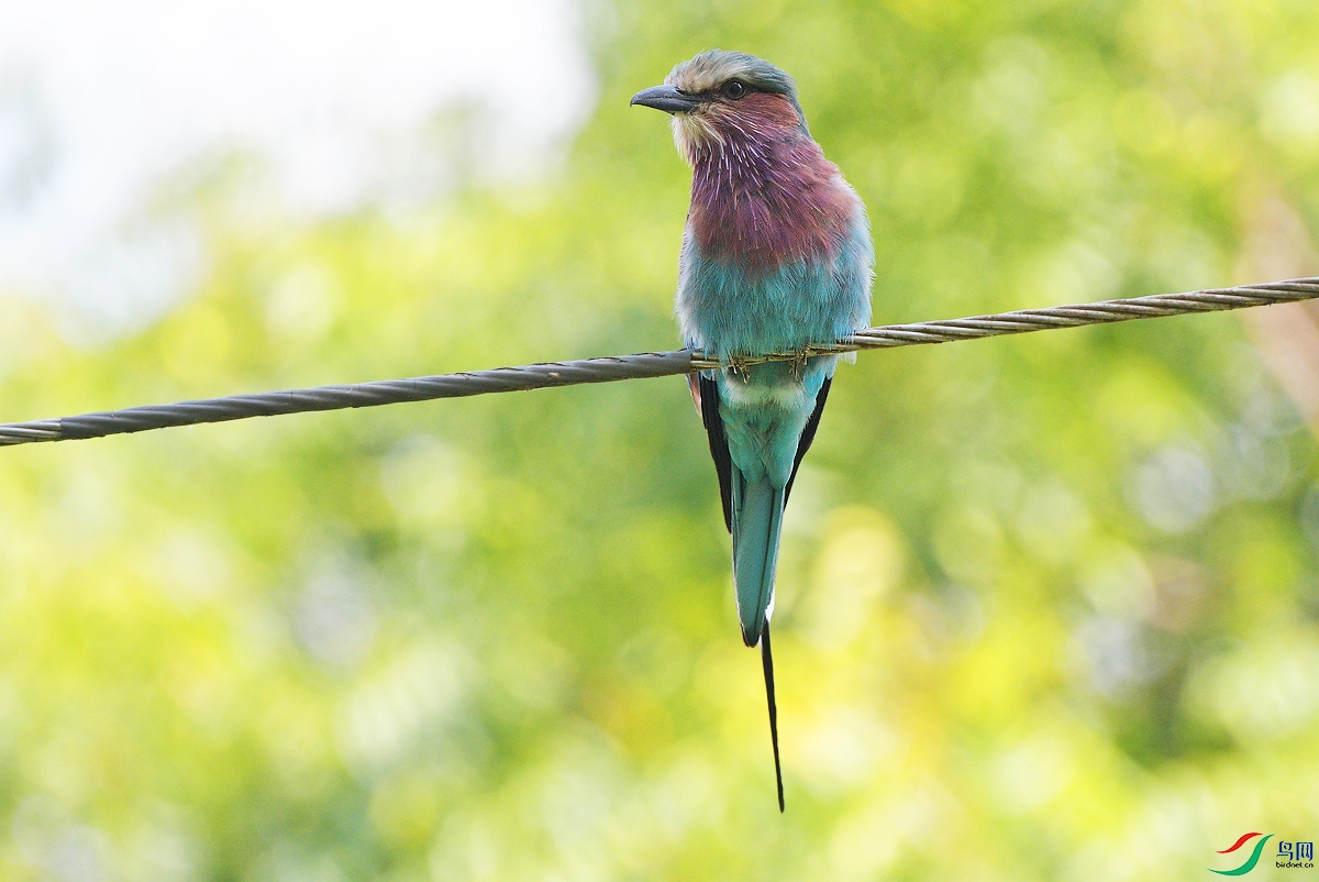 DSC_0854.JPG