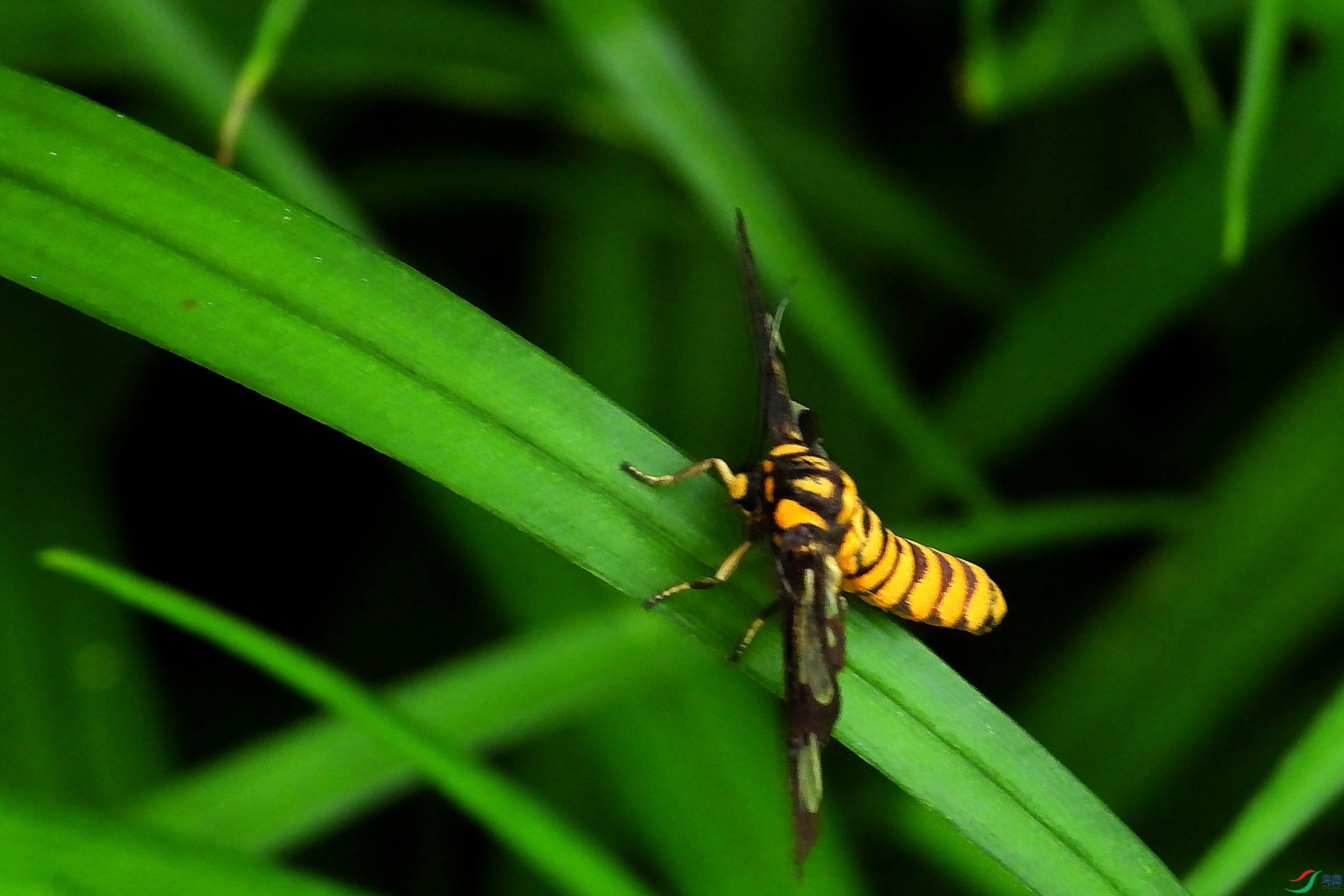 DSCN5135.jpg