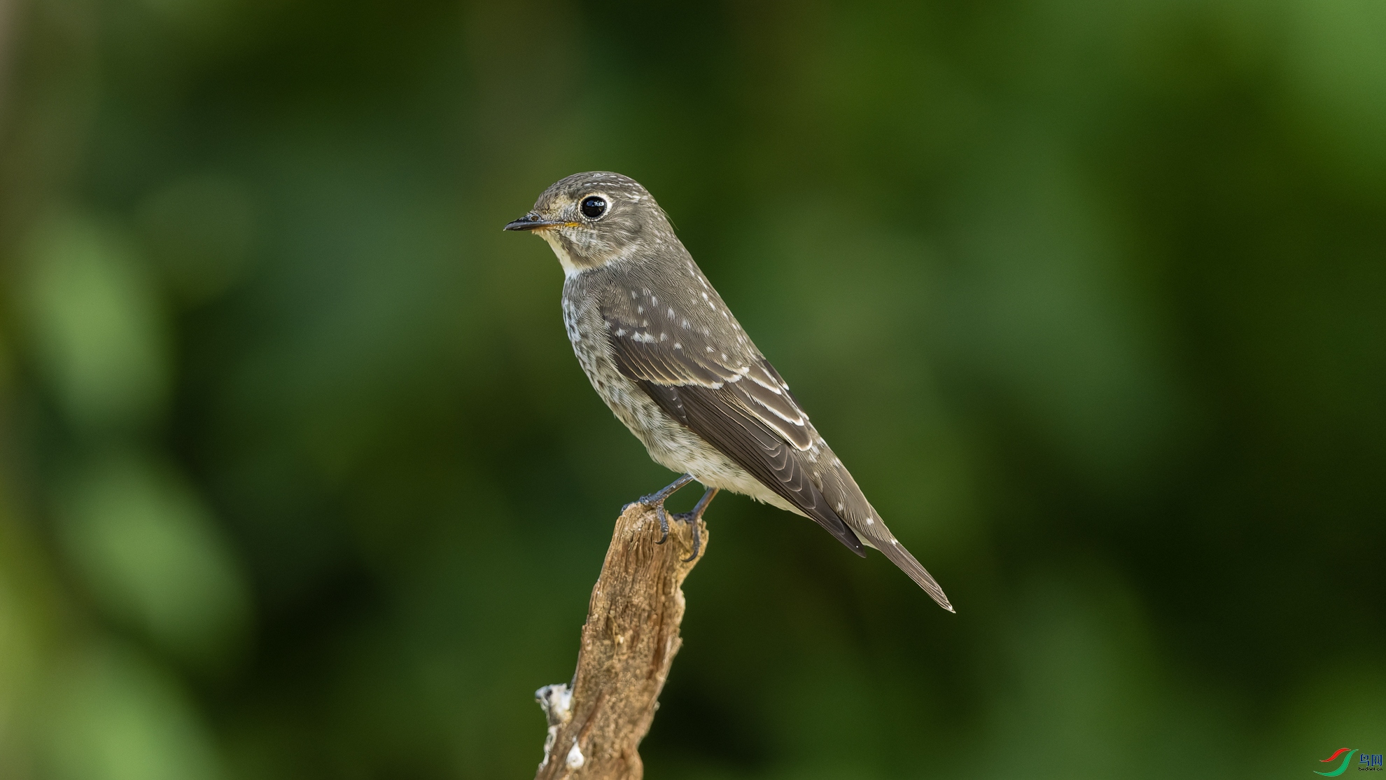 EOS R3_20221006_0M6A3552-CR3_DxO_DeepPRIME.jpg