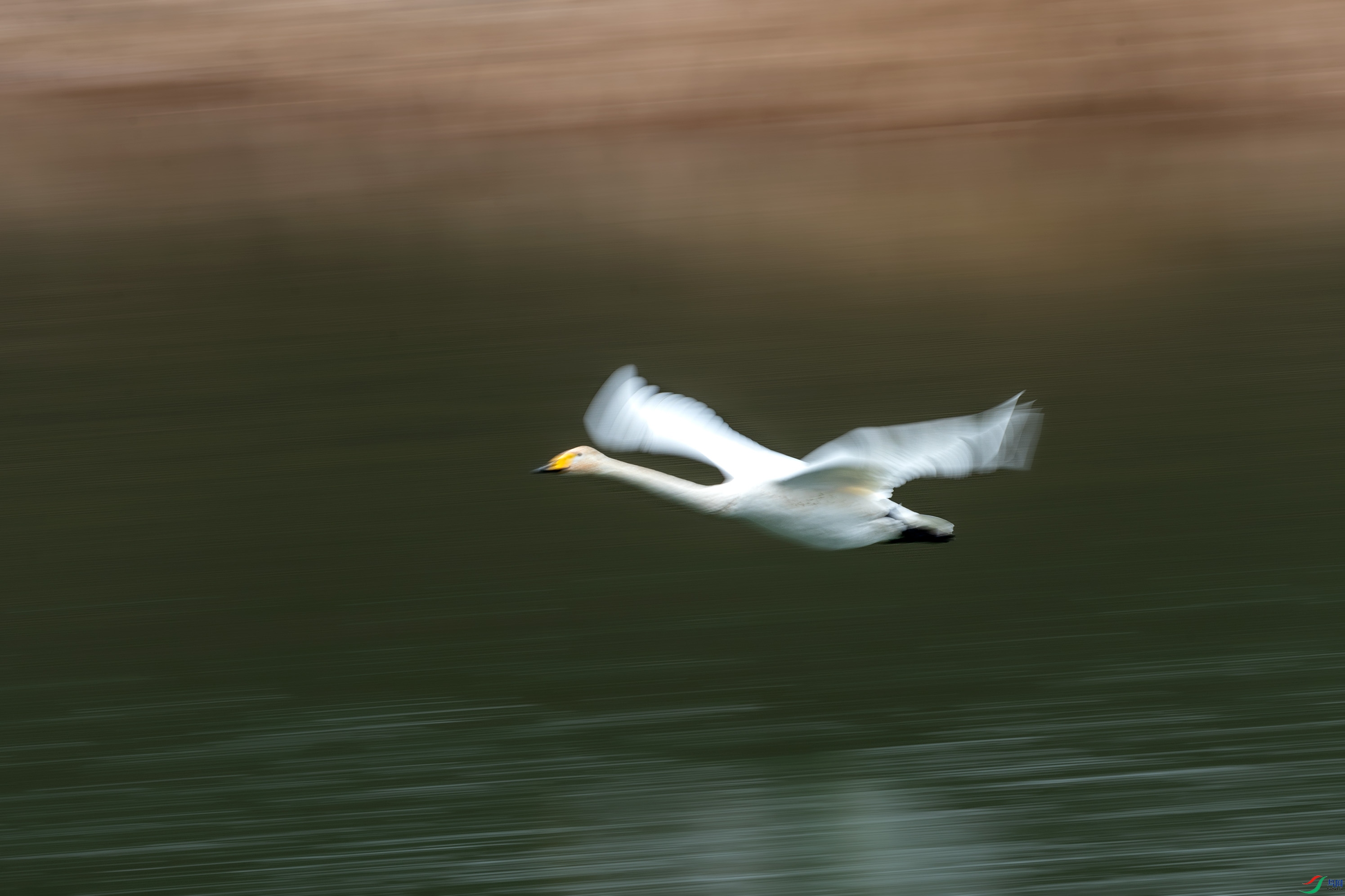 DSC_8033.jpg