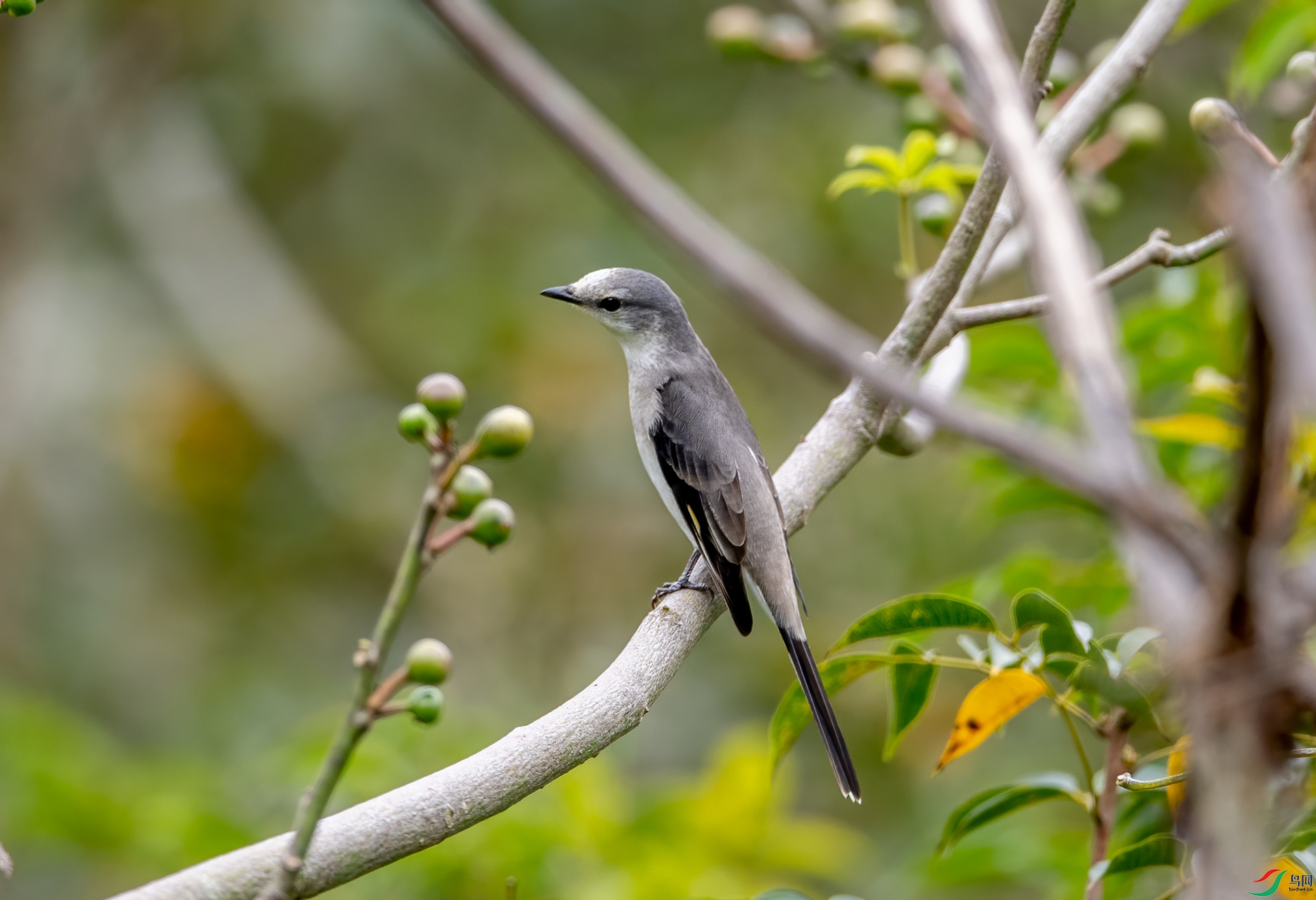 DSC_1122-1.jpg