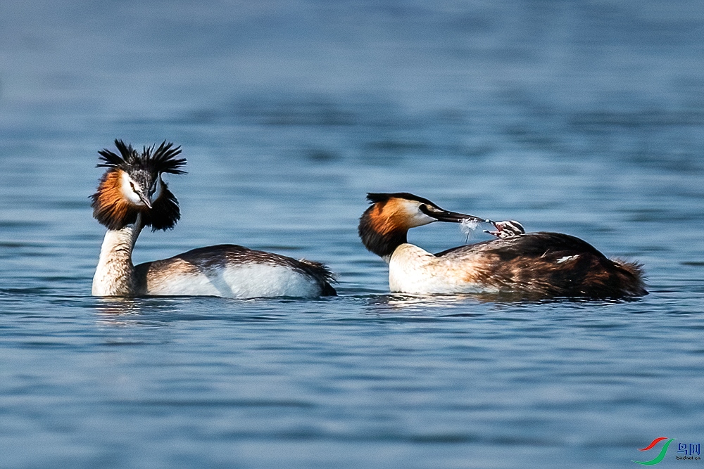 _DSC1547 ����-denoise.jpg